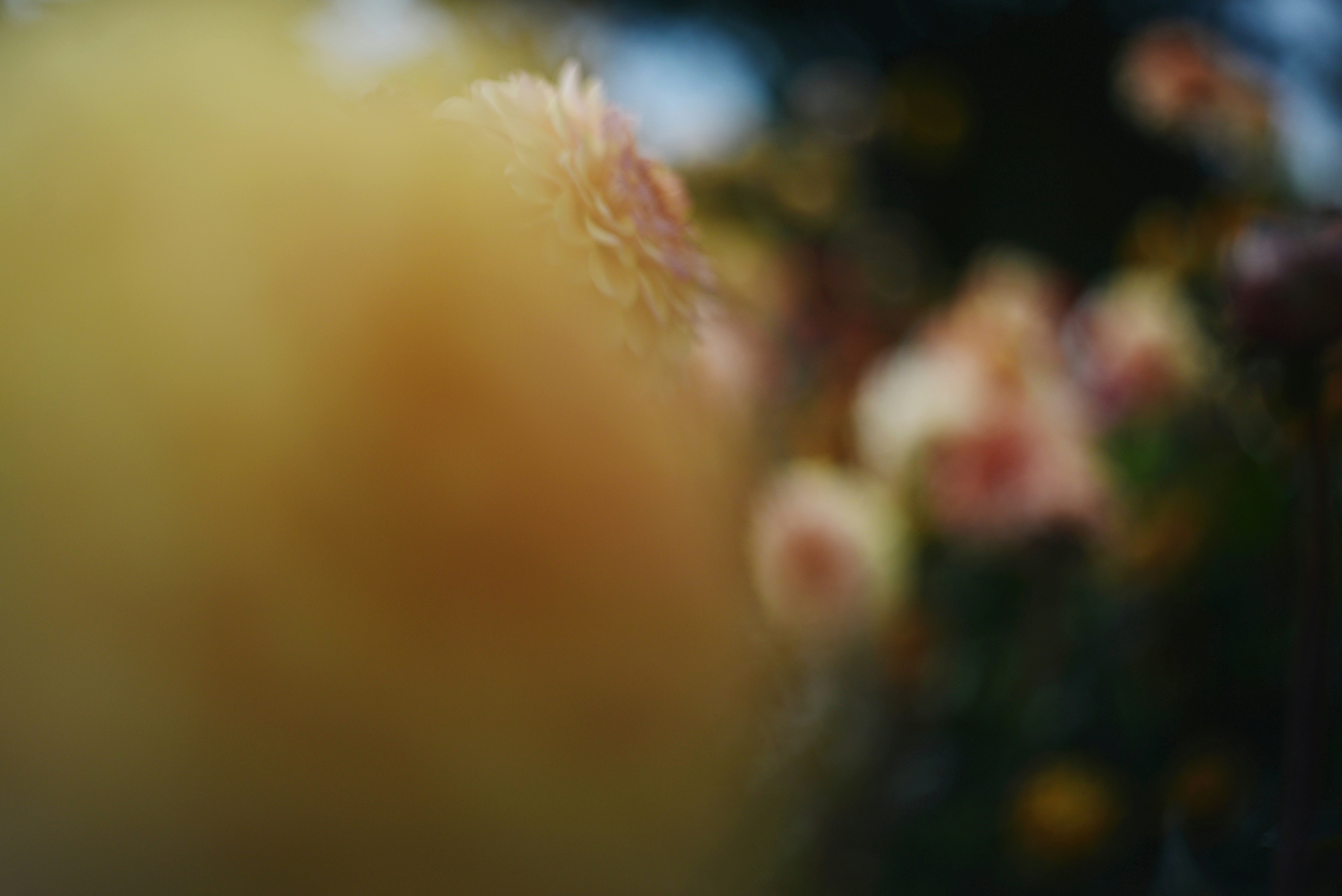 Photo by cherstve_pechivo