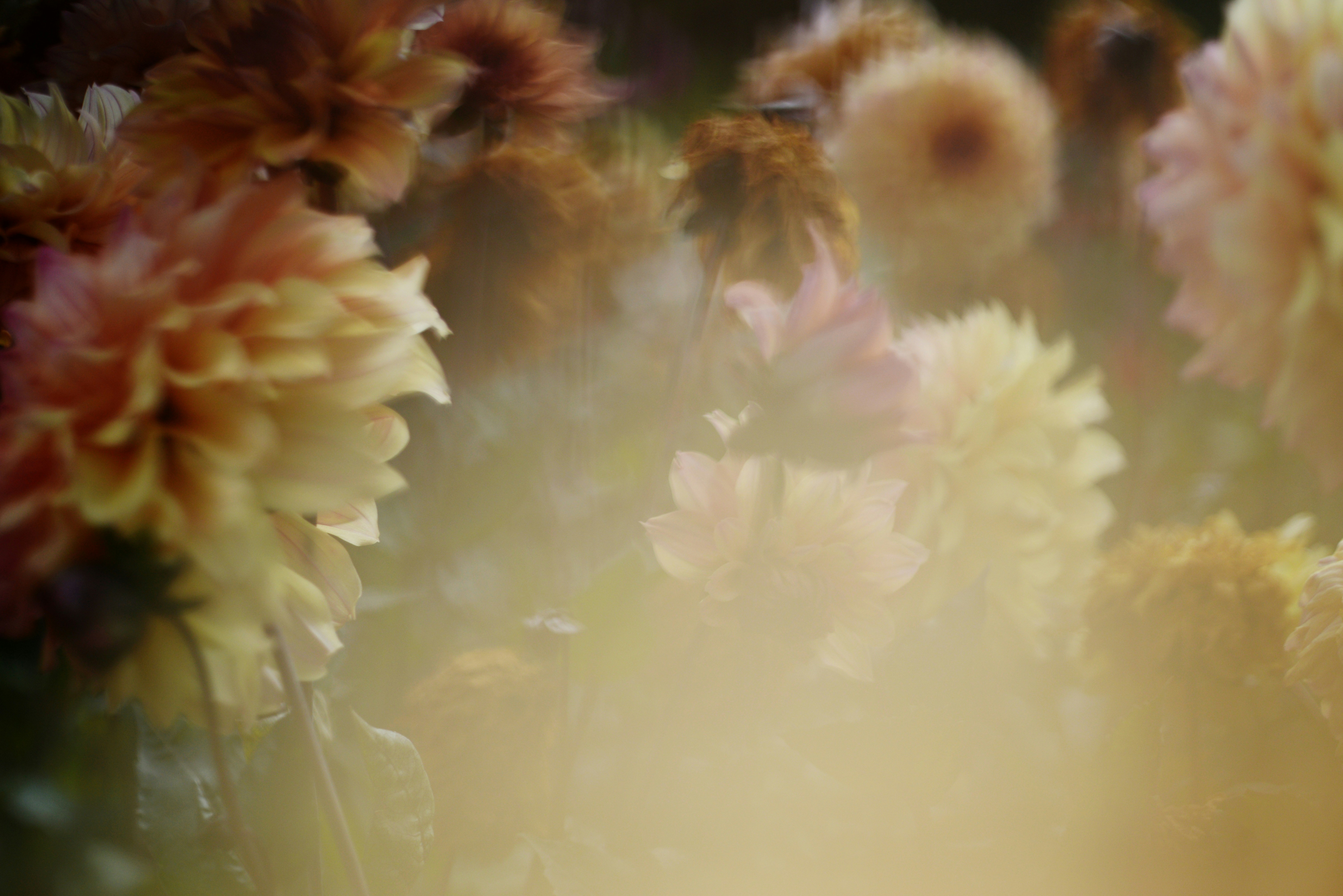 Photo by cherstve_pechivo