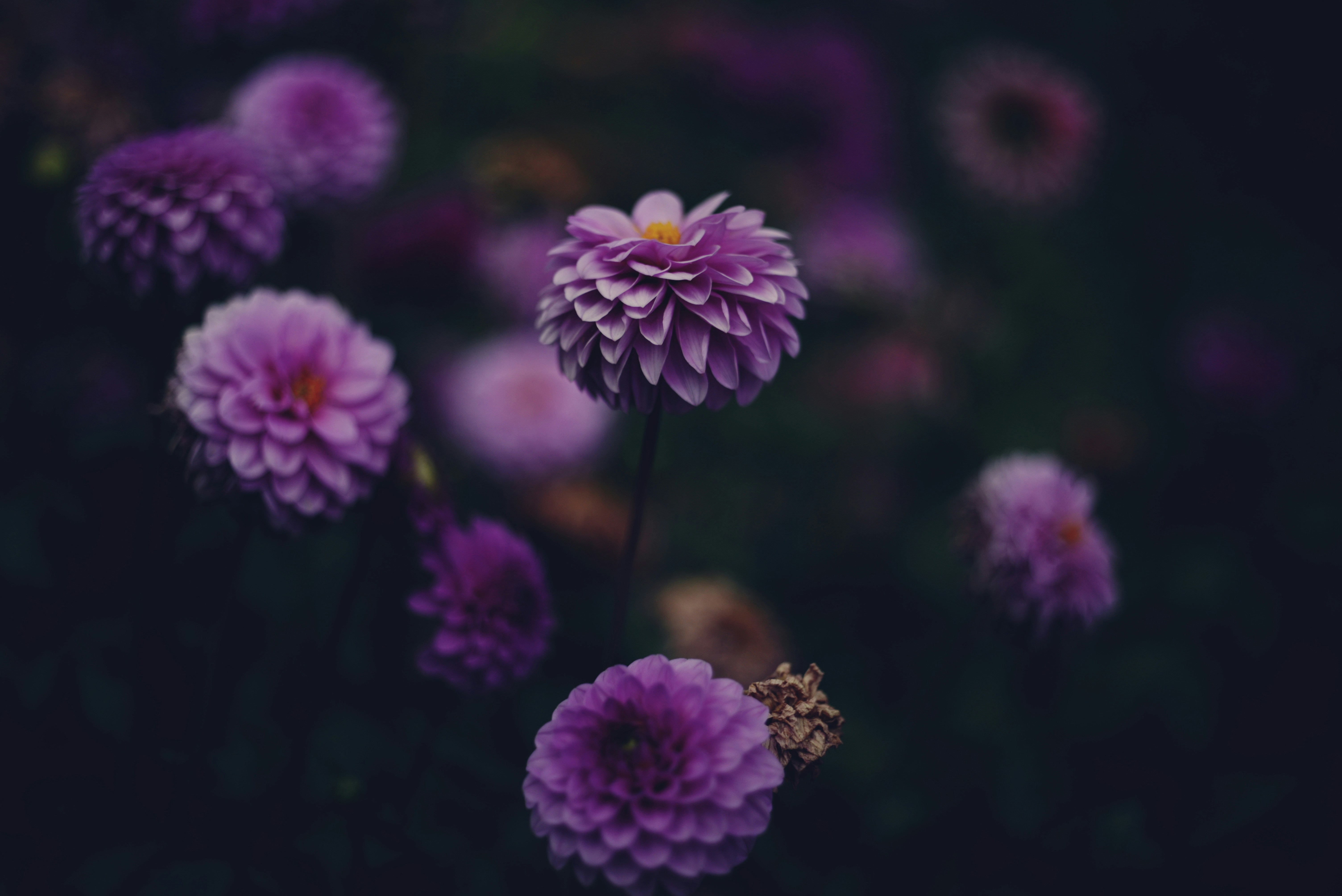 Photo by cherstve_pechivo