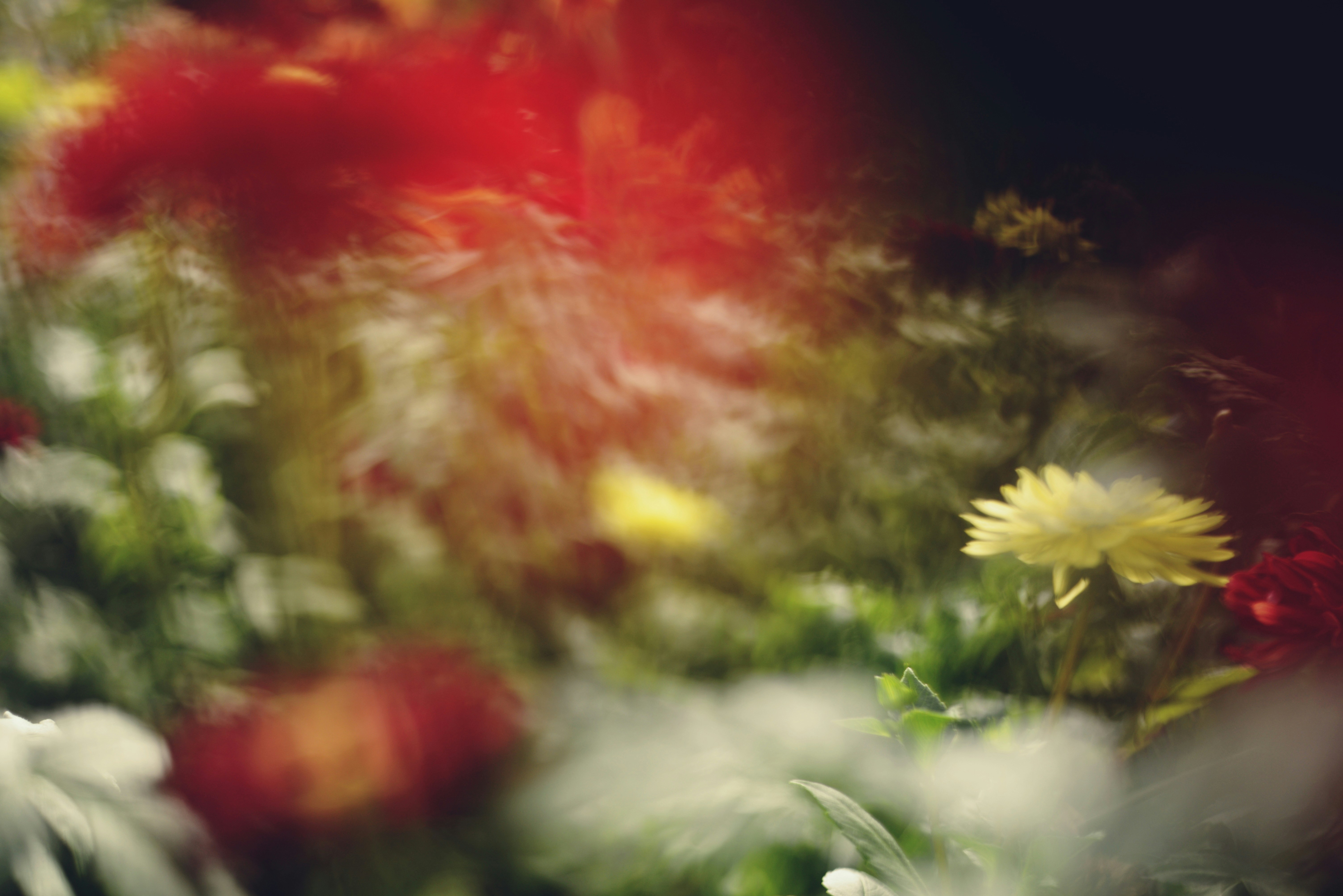 Photo by cherstve_pechivo