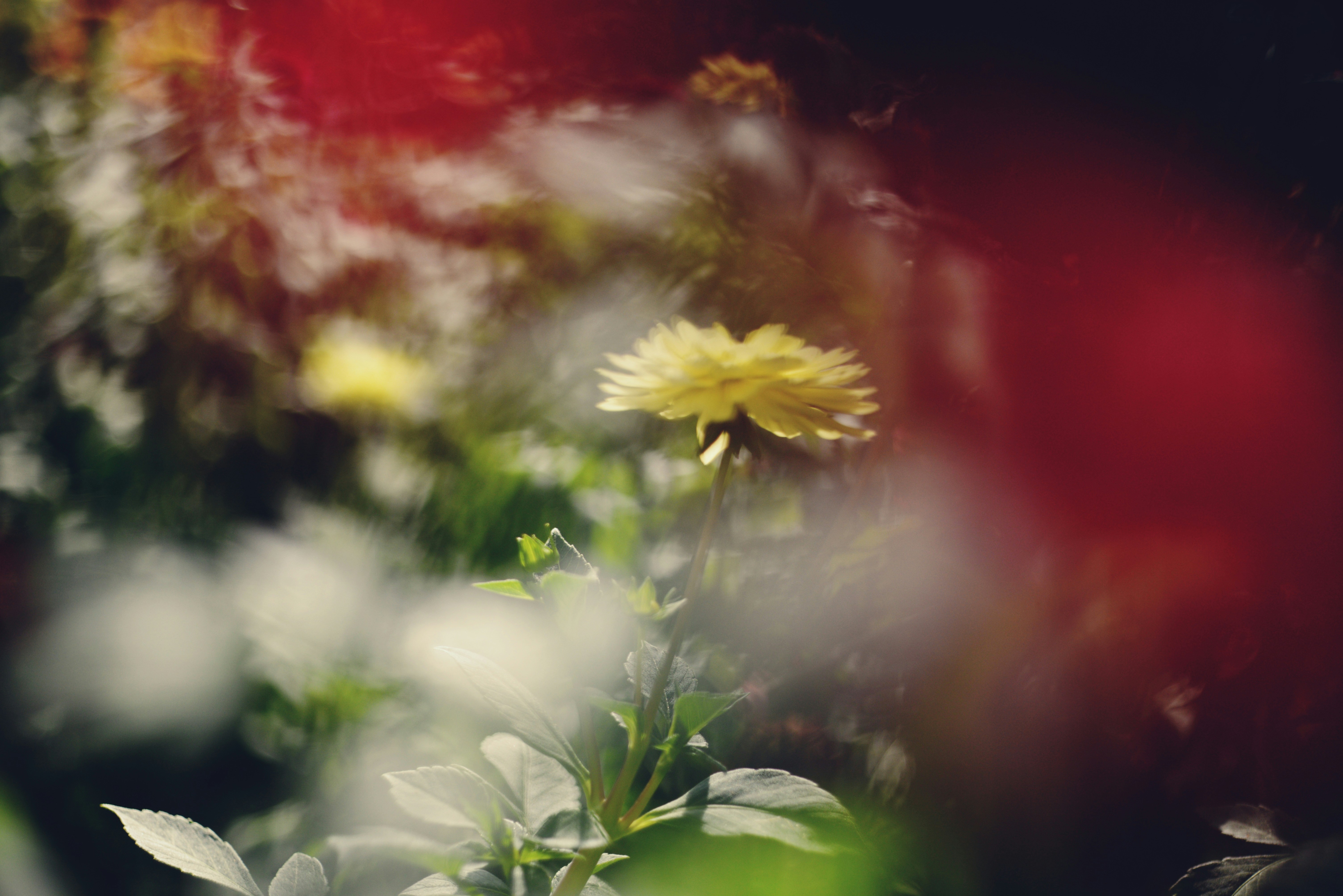 Photo by cherstve_pechivo