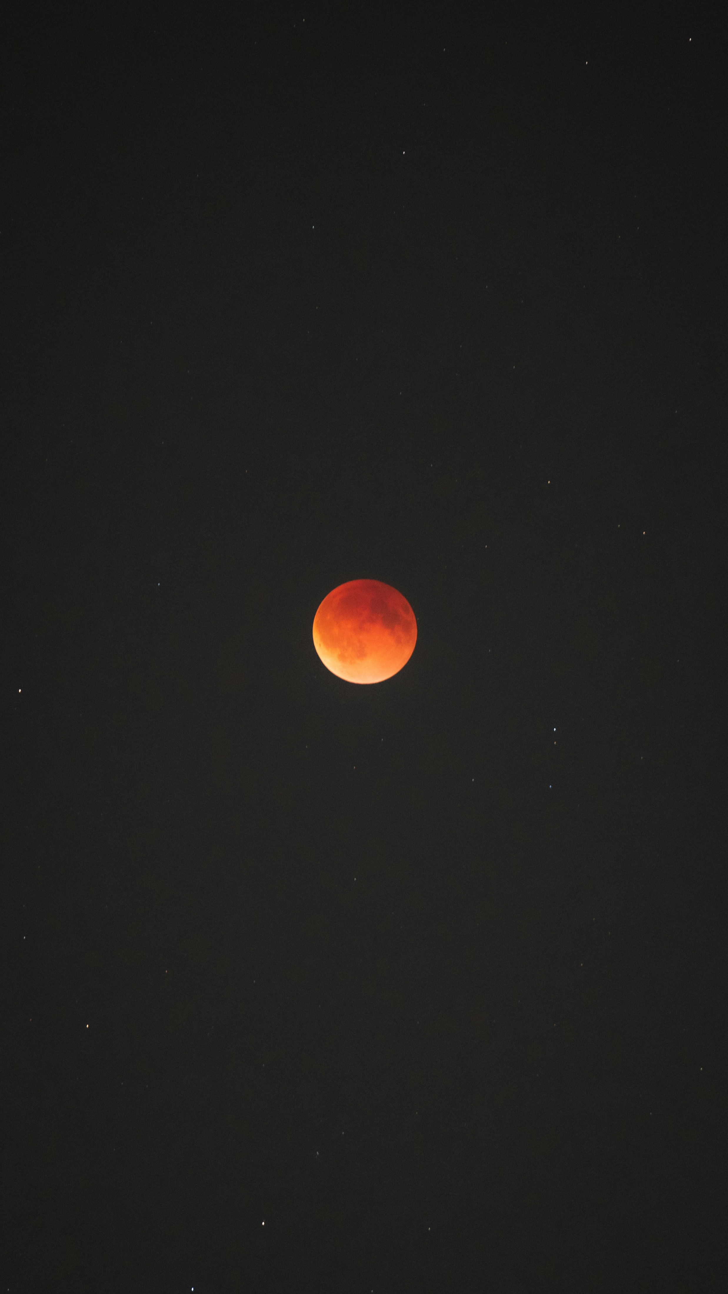 A blood moon shines brightly in a starry night sky.