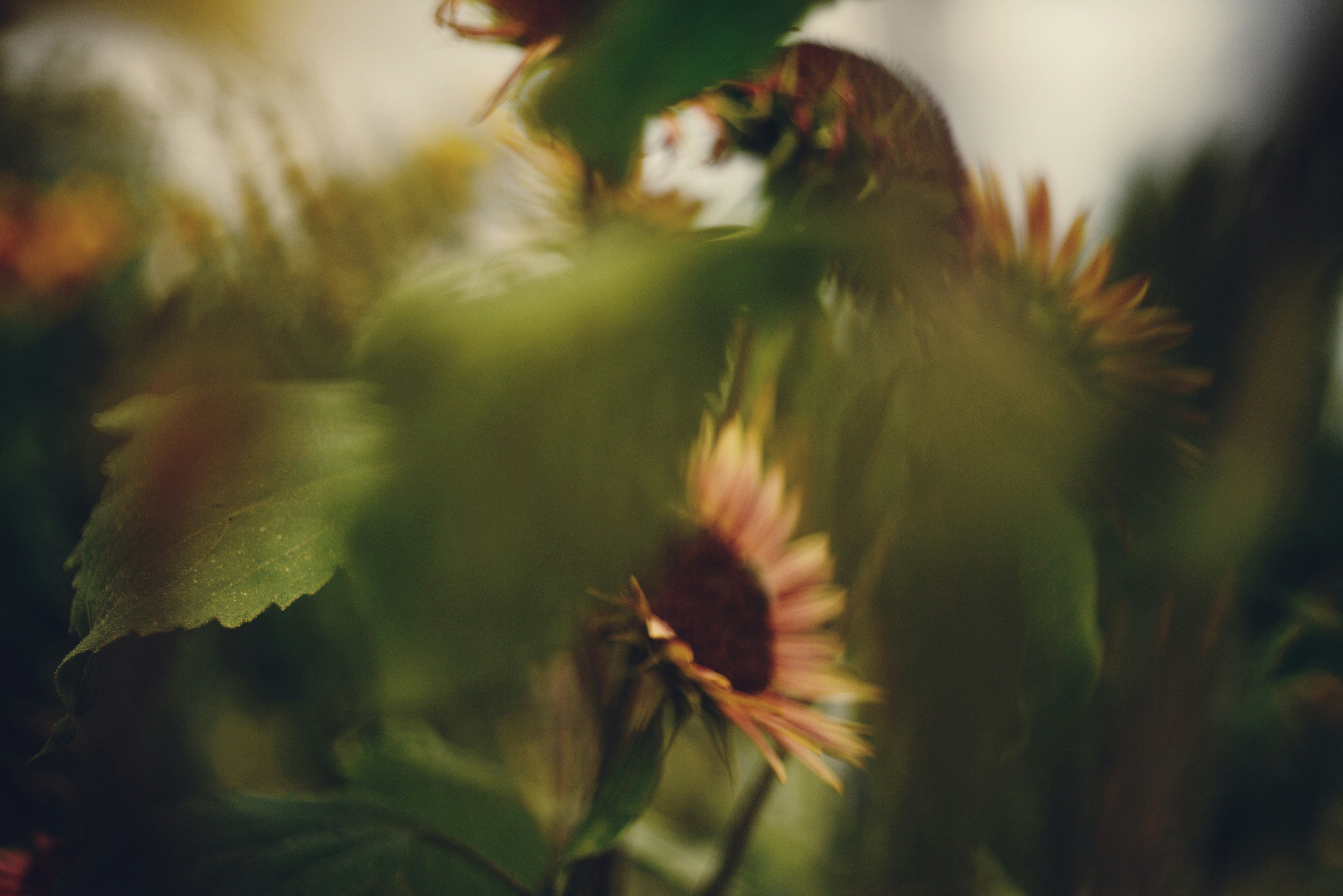 Photo by cherstve_pechivo