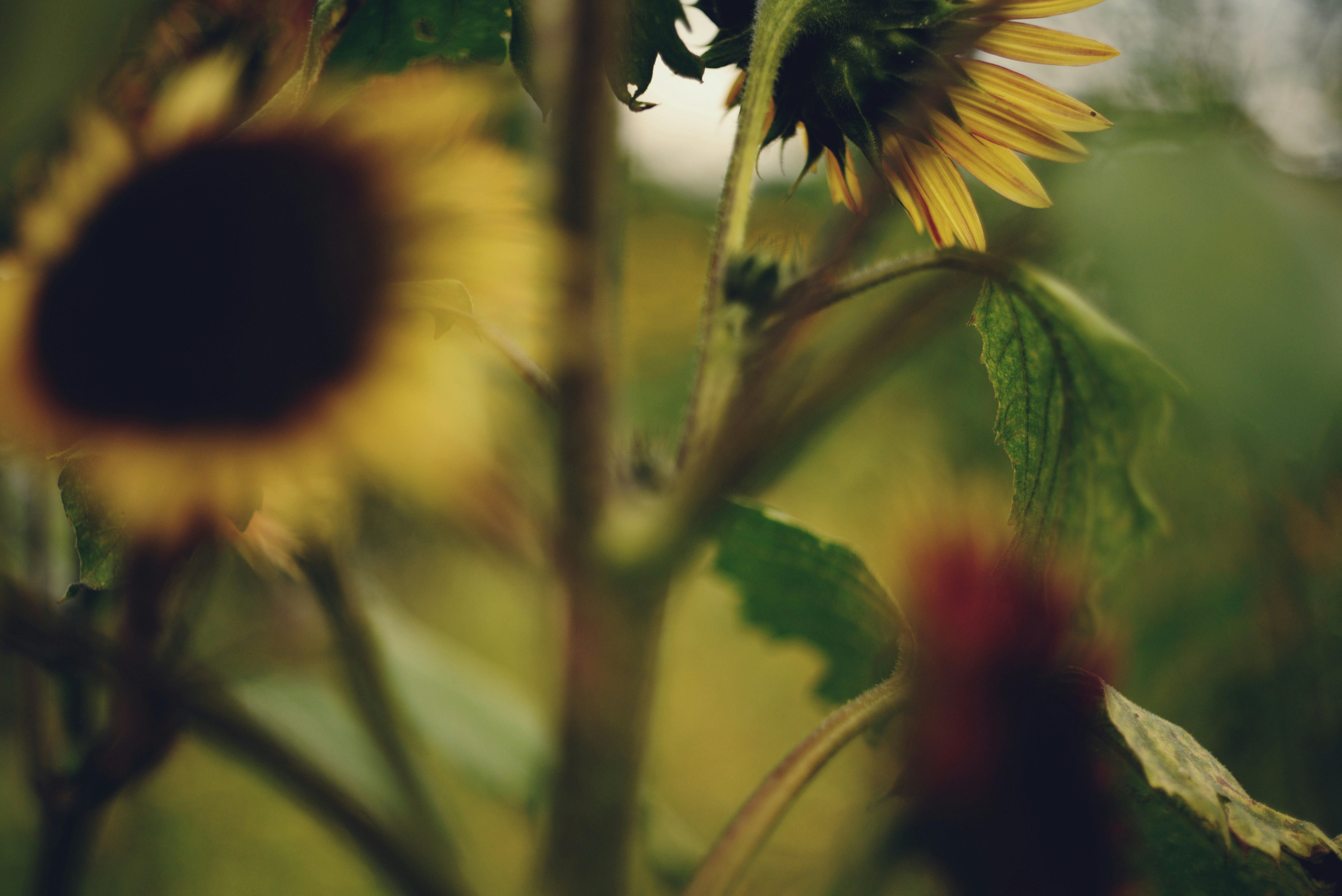 Photo by cherstve_pechivo