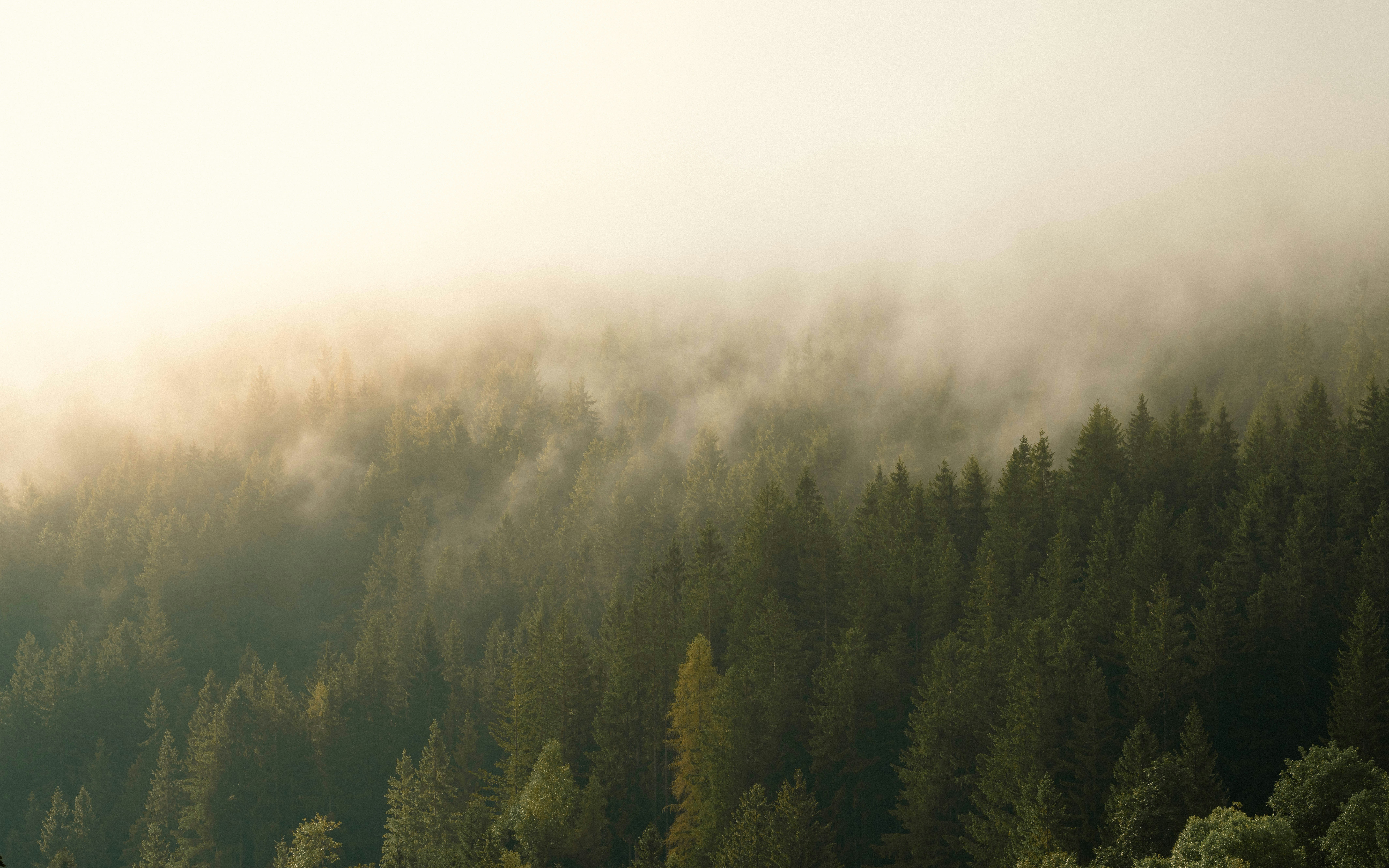 Discovering superfake handbags: Your Comprehensive Handbook to the Luxury Replica Industry