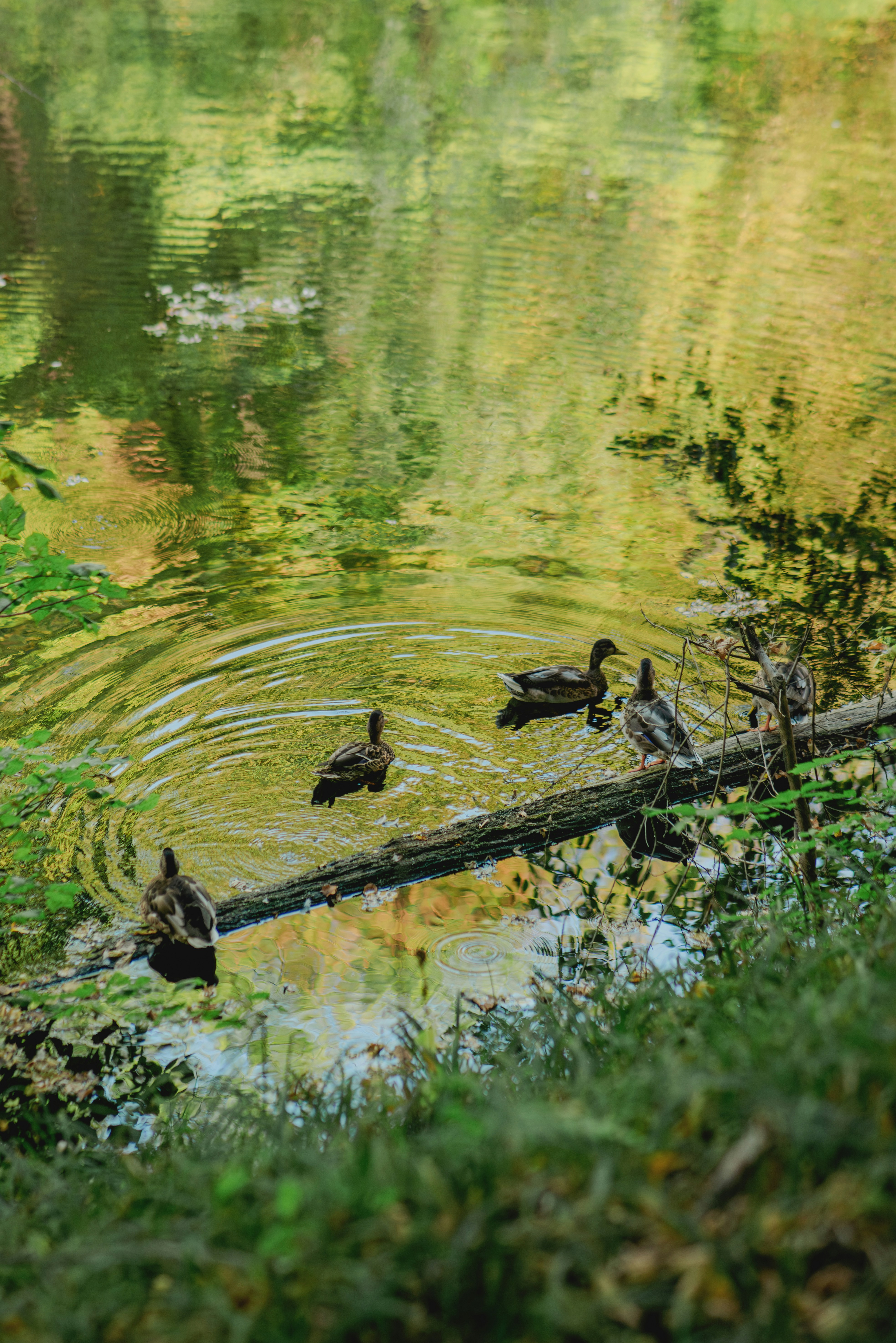 Photo by eugenivy_now