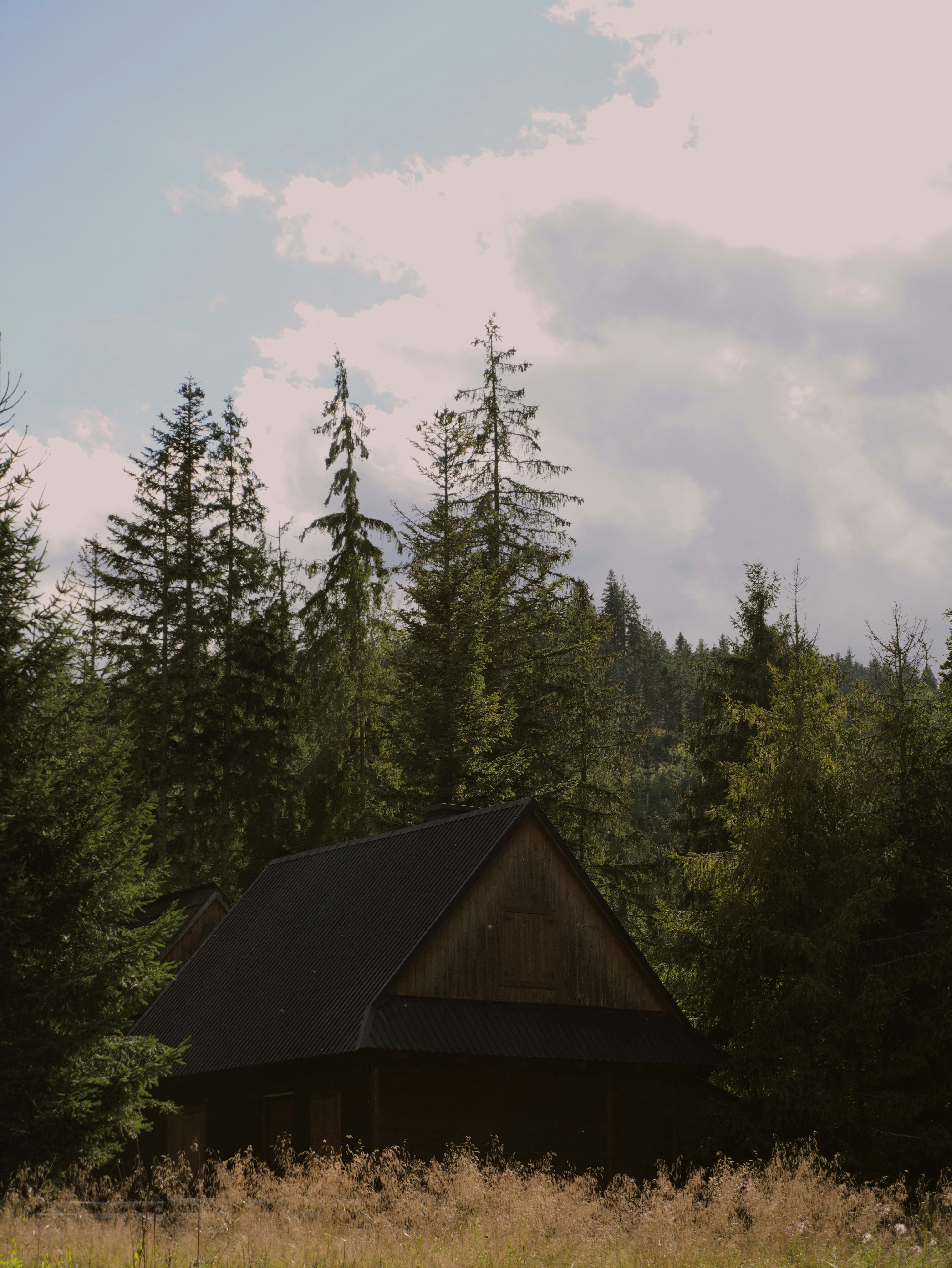 Photo by photographydamiankokot