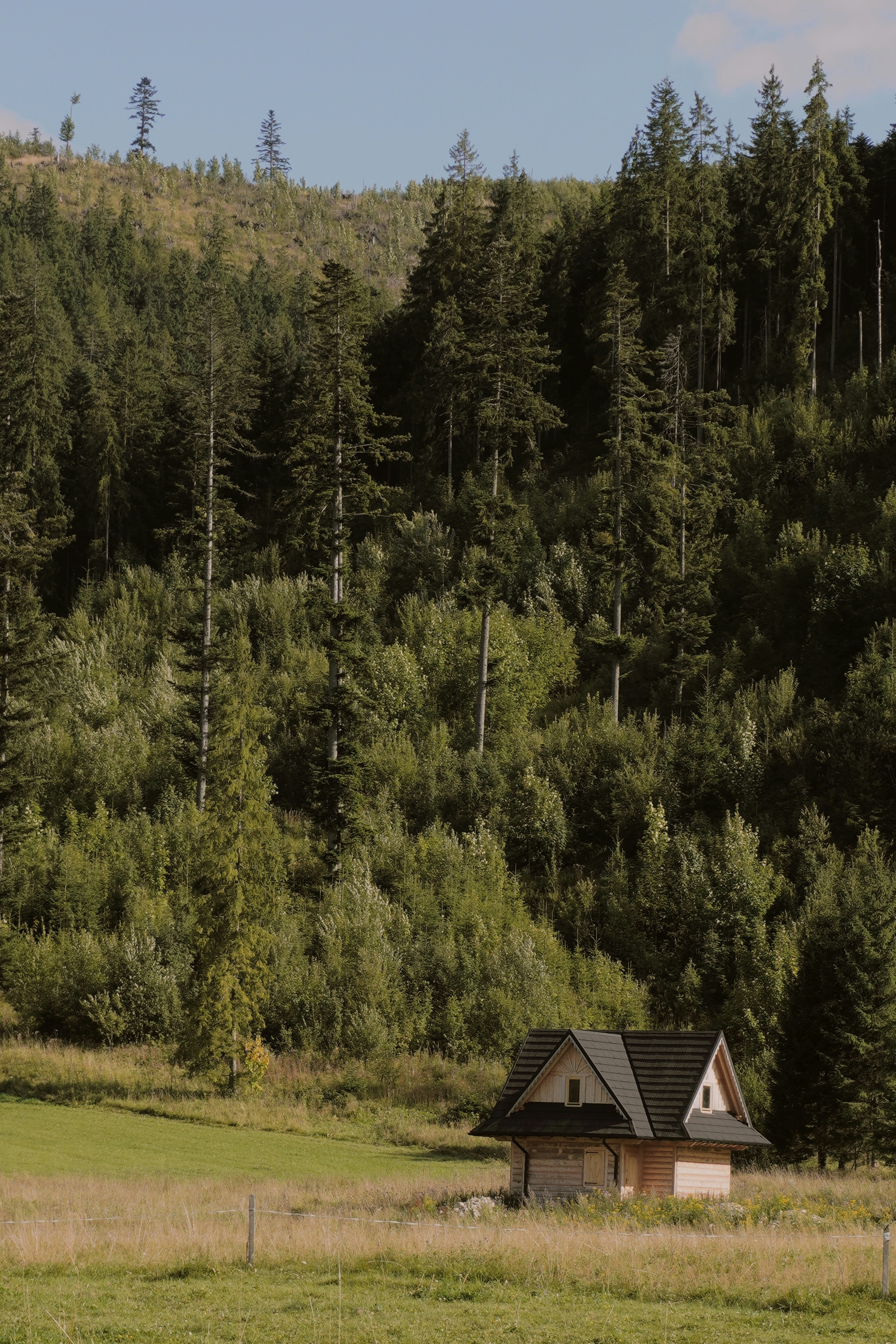 Photo by photographydamiankokot