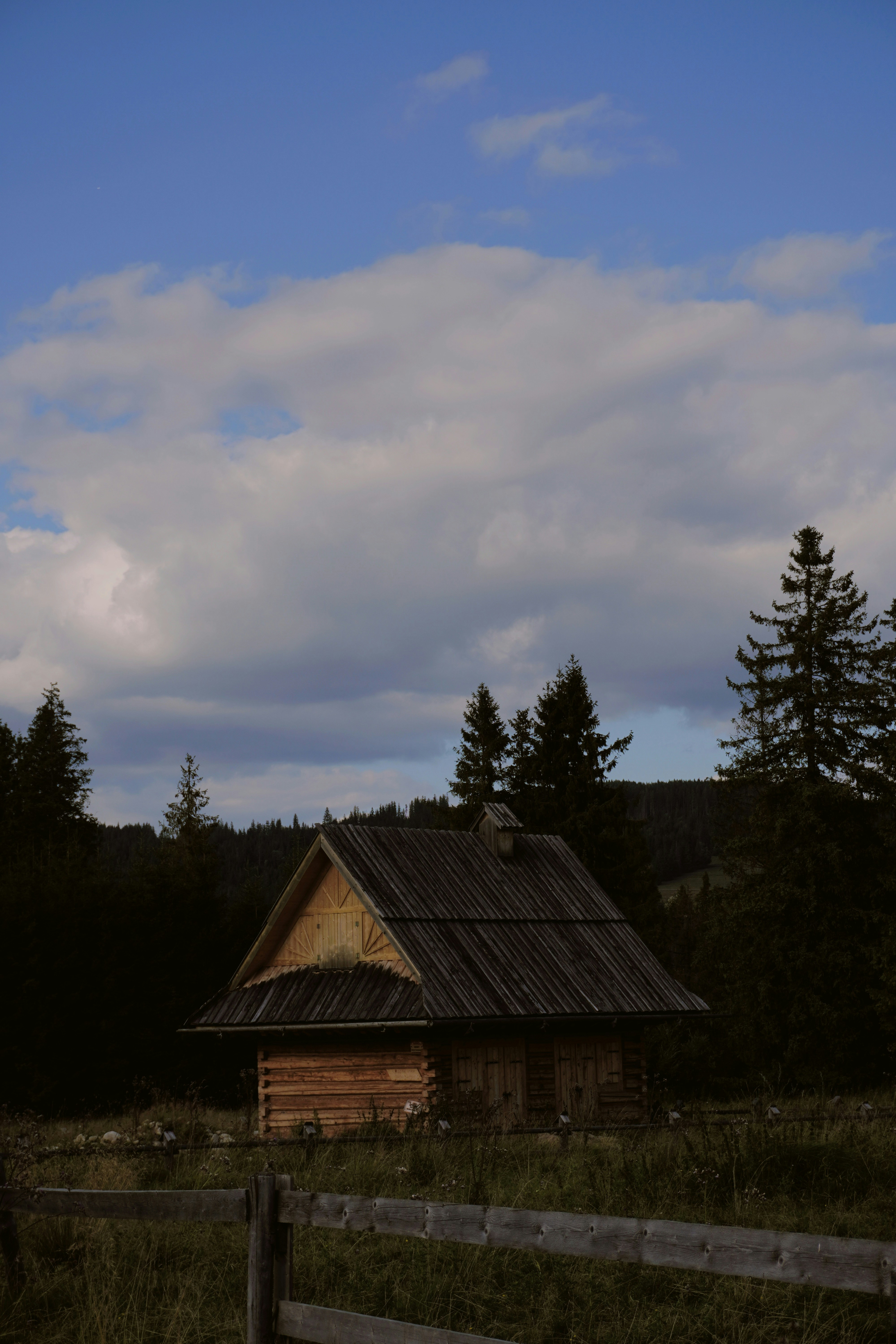 Photo by photographydamiankokot