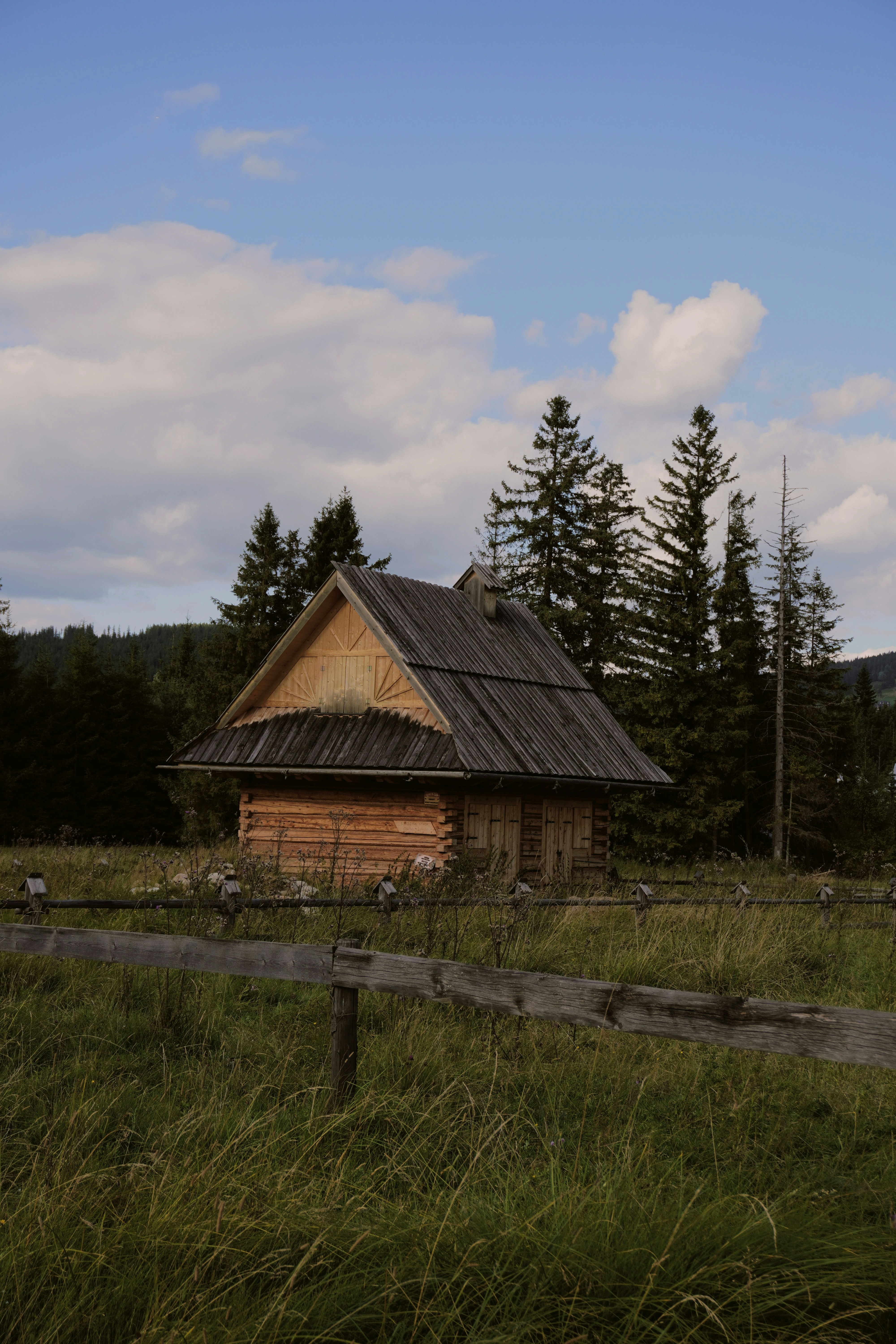 Photo by photographydamiankokot