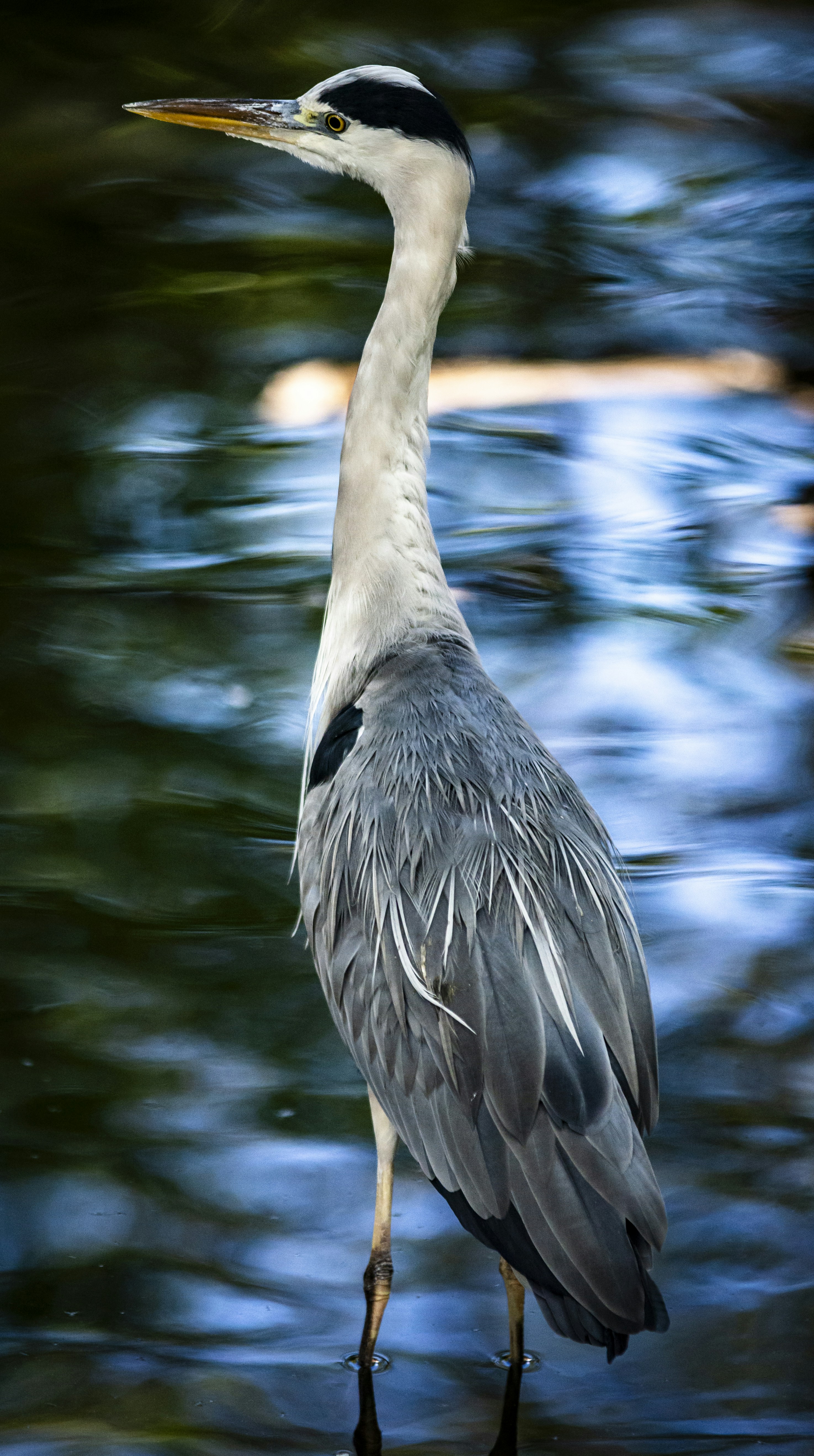 Photo by markre52