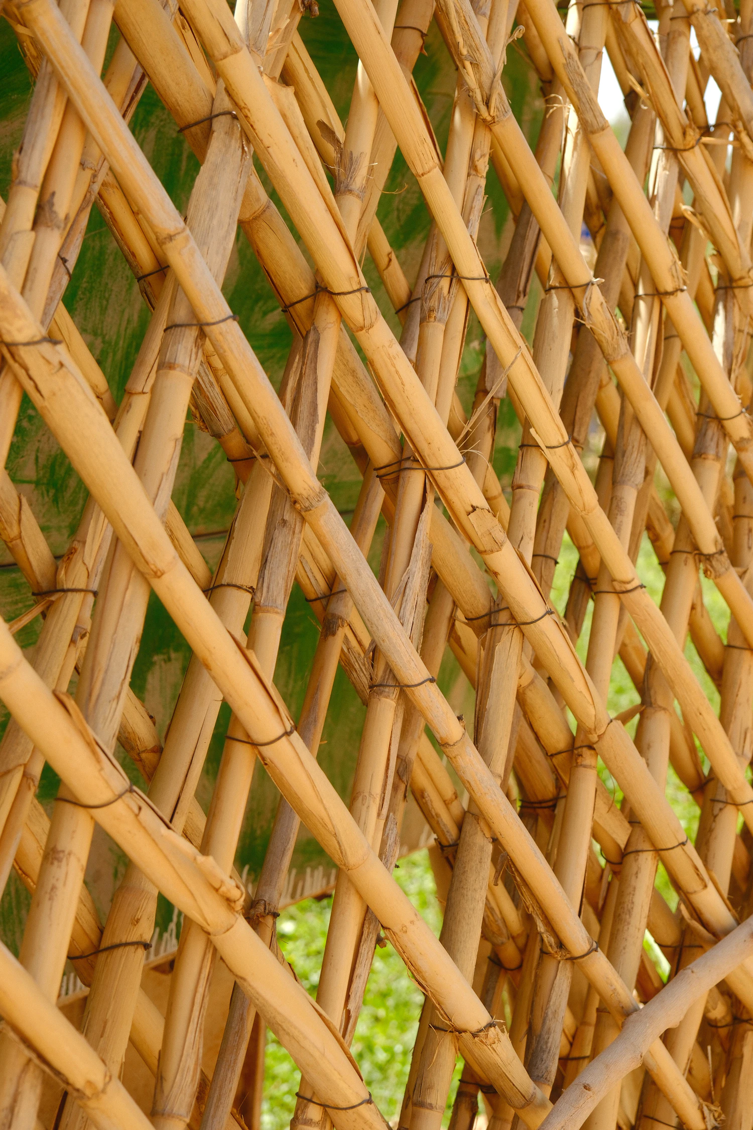 Bamboo poles lashed into a criss-cross lattice