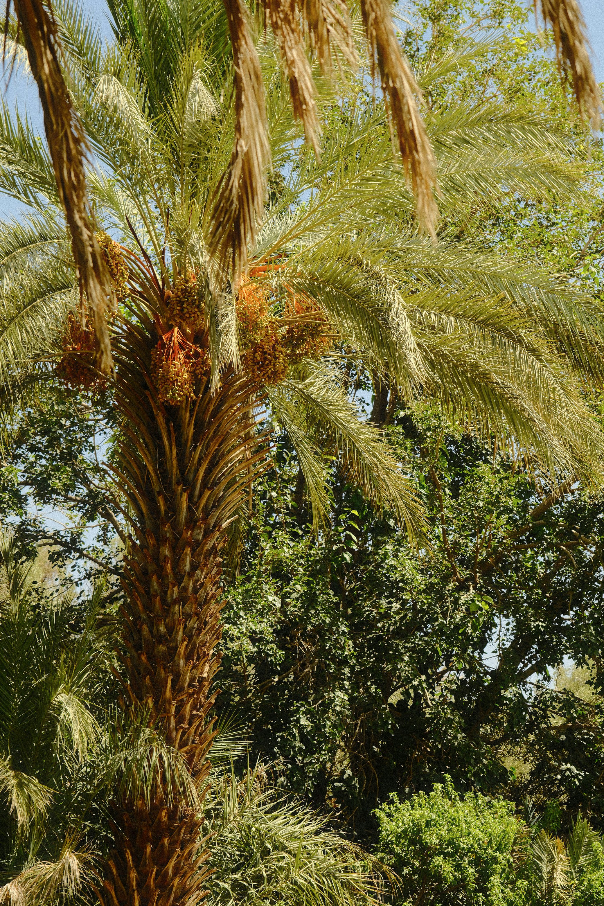 Photo by raulmermans