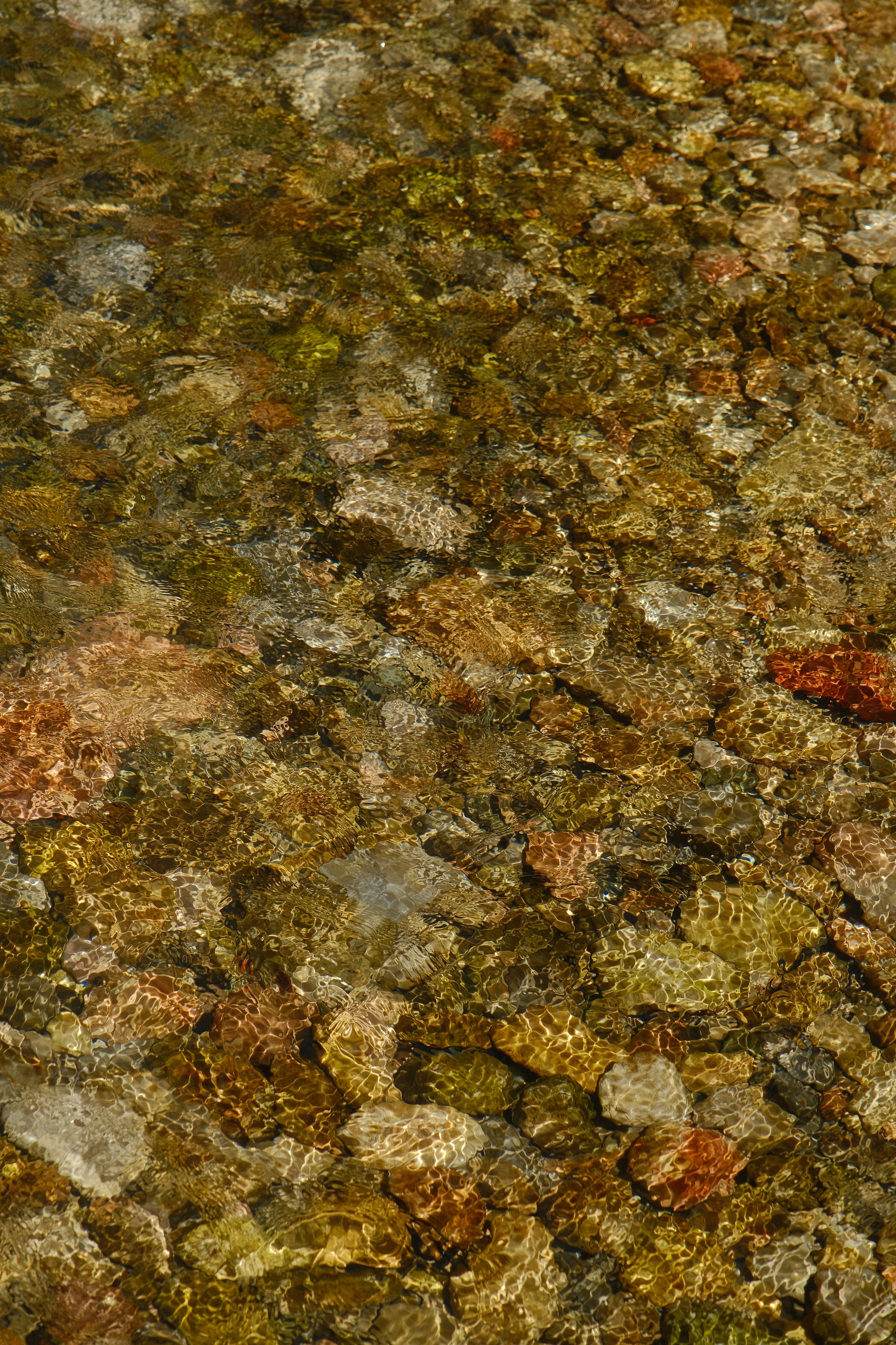 Photo by raulmermans