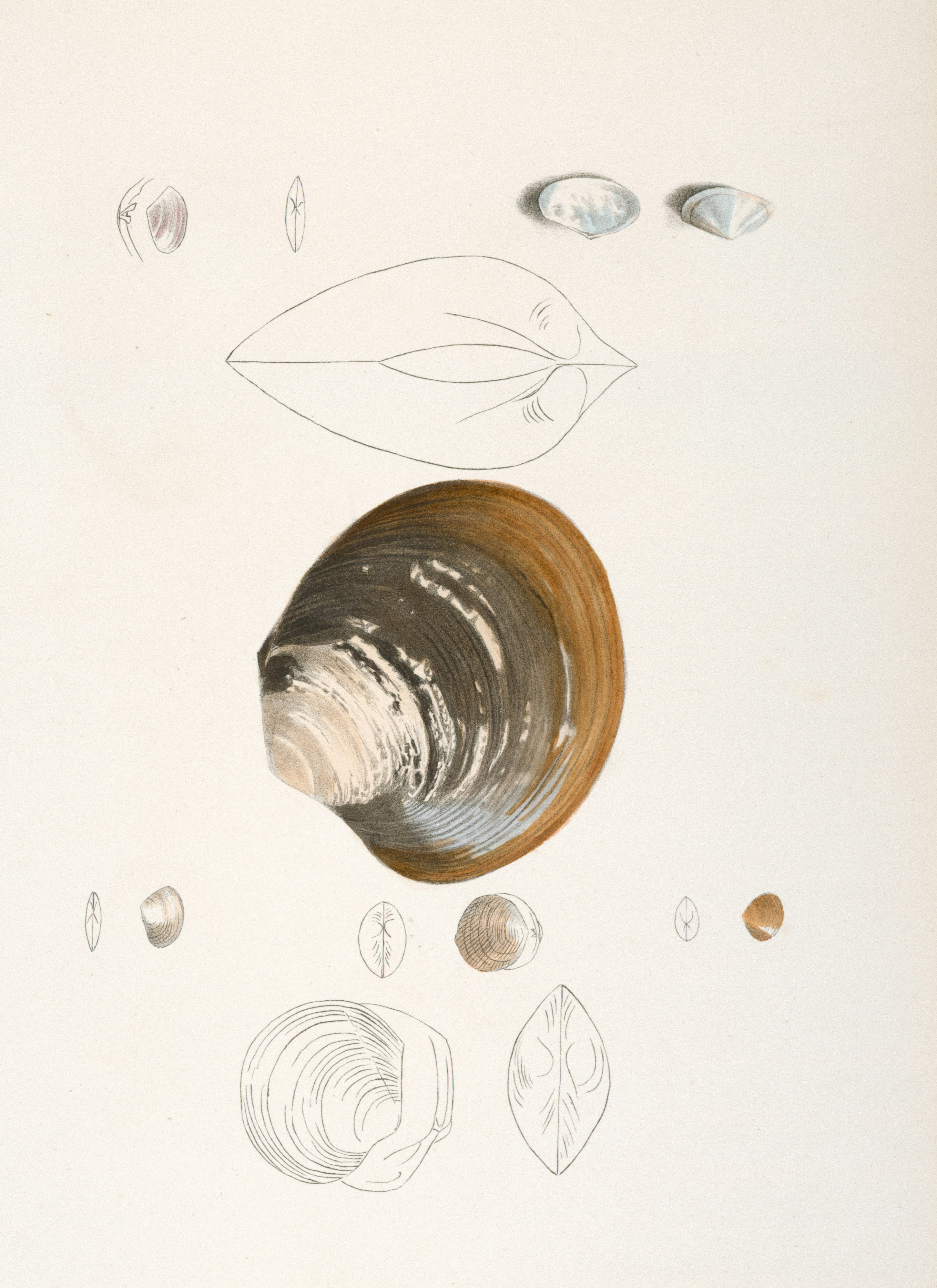 Illustration of mercury alternatives in use