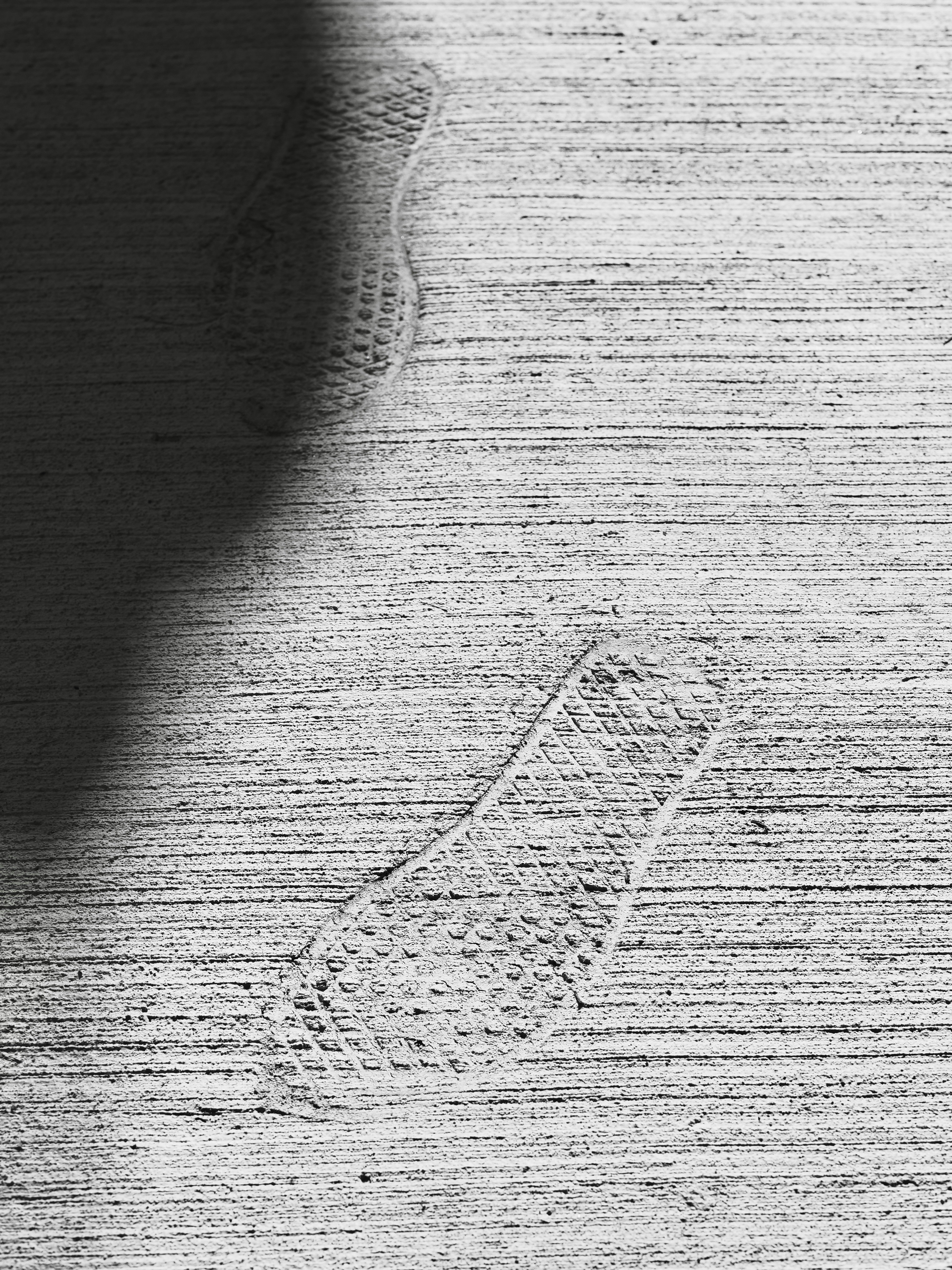 Photo by sschusterphotoart