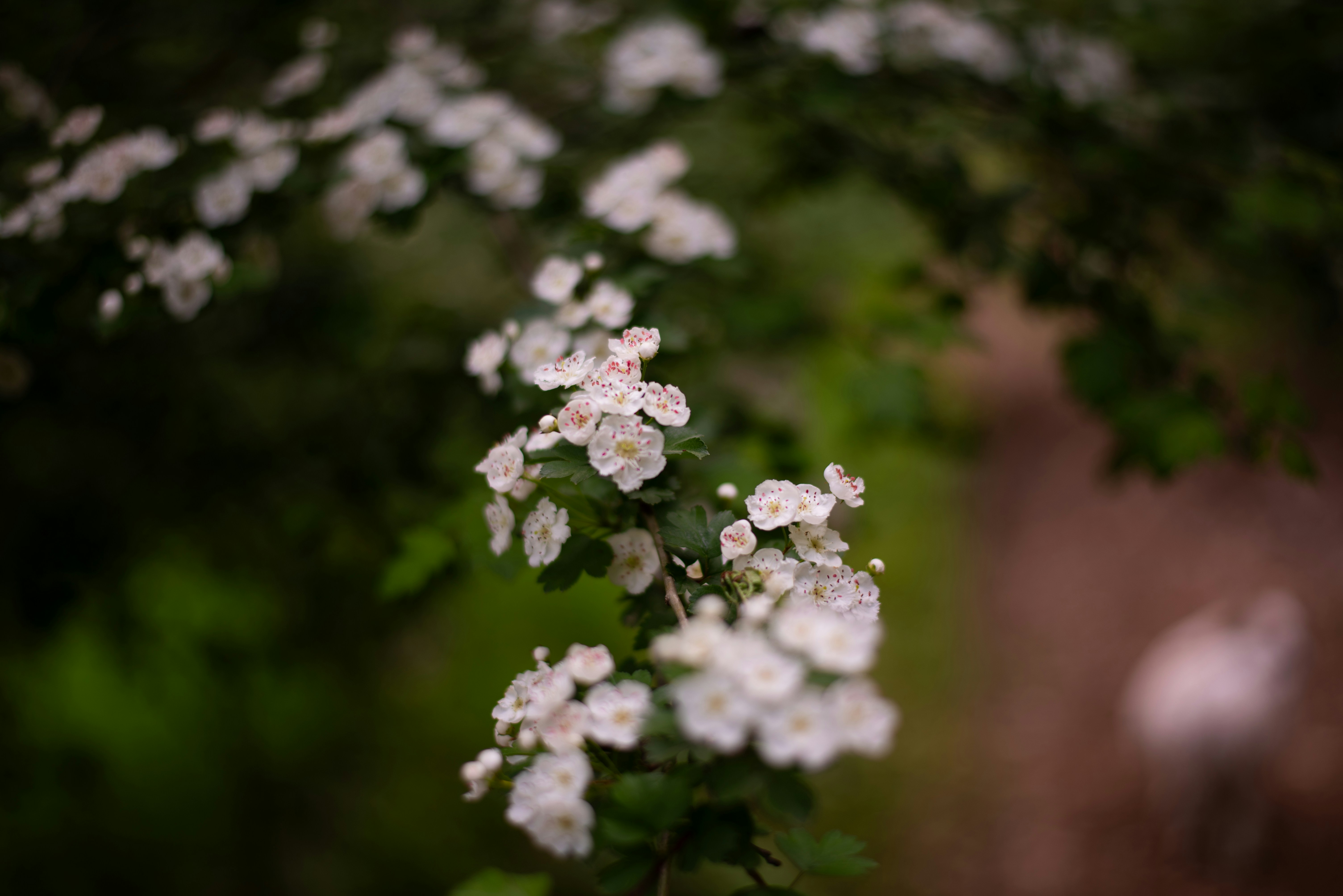 Photo by agl_rs