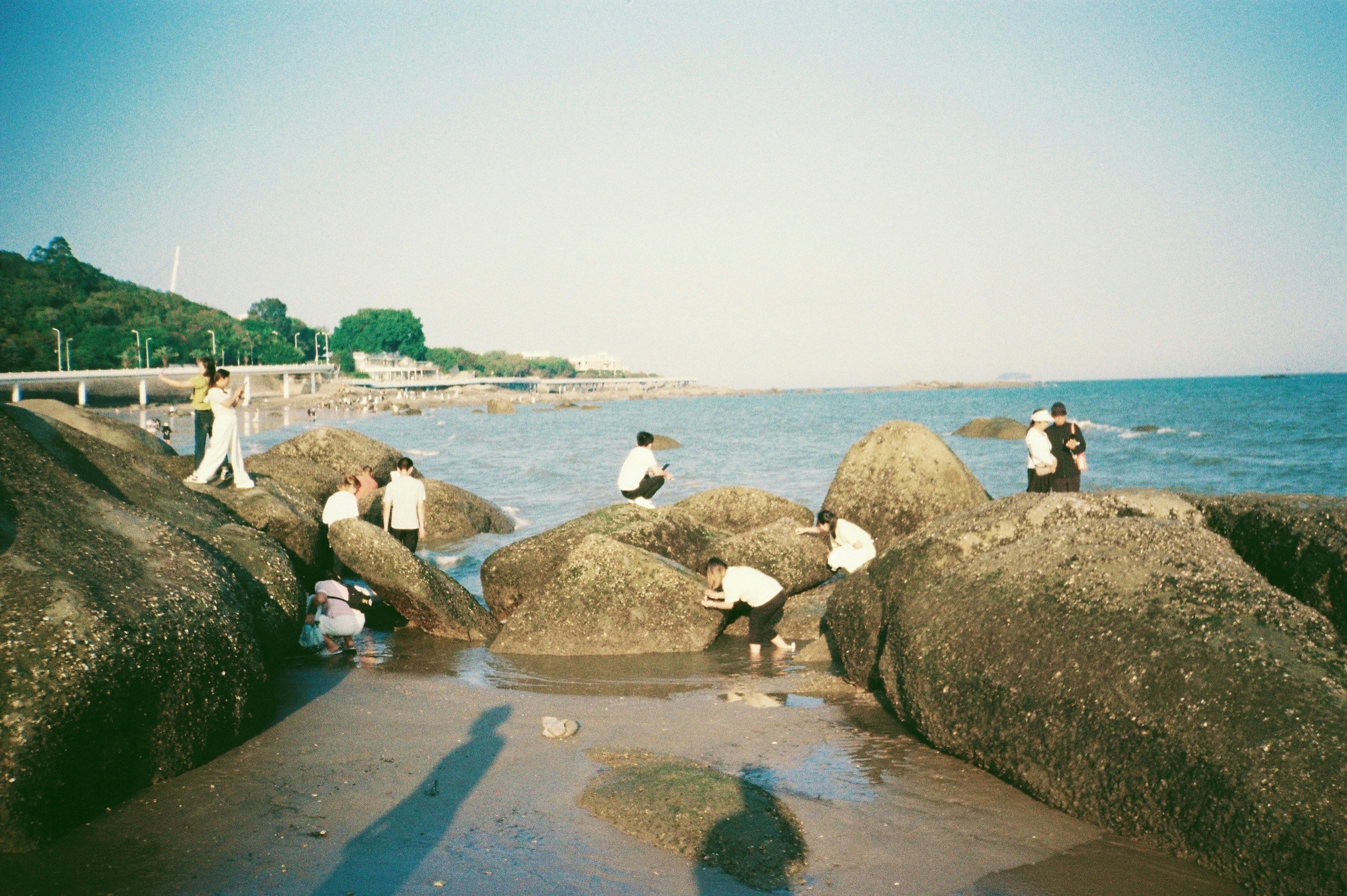 People exploring tide pools on a rocky beach