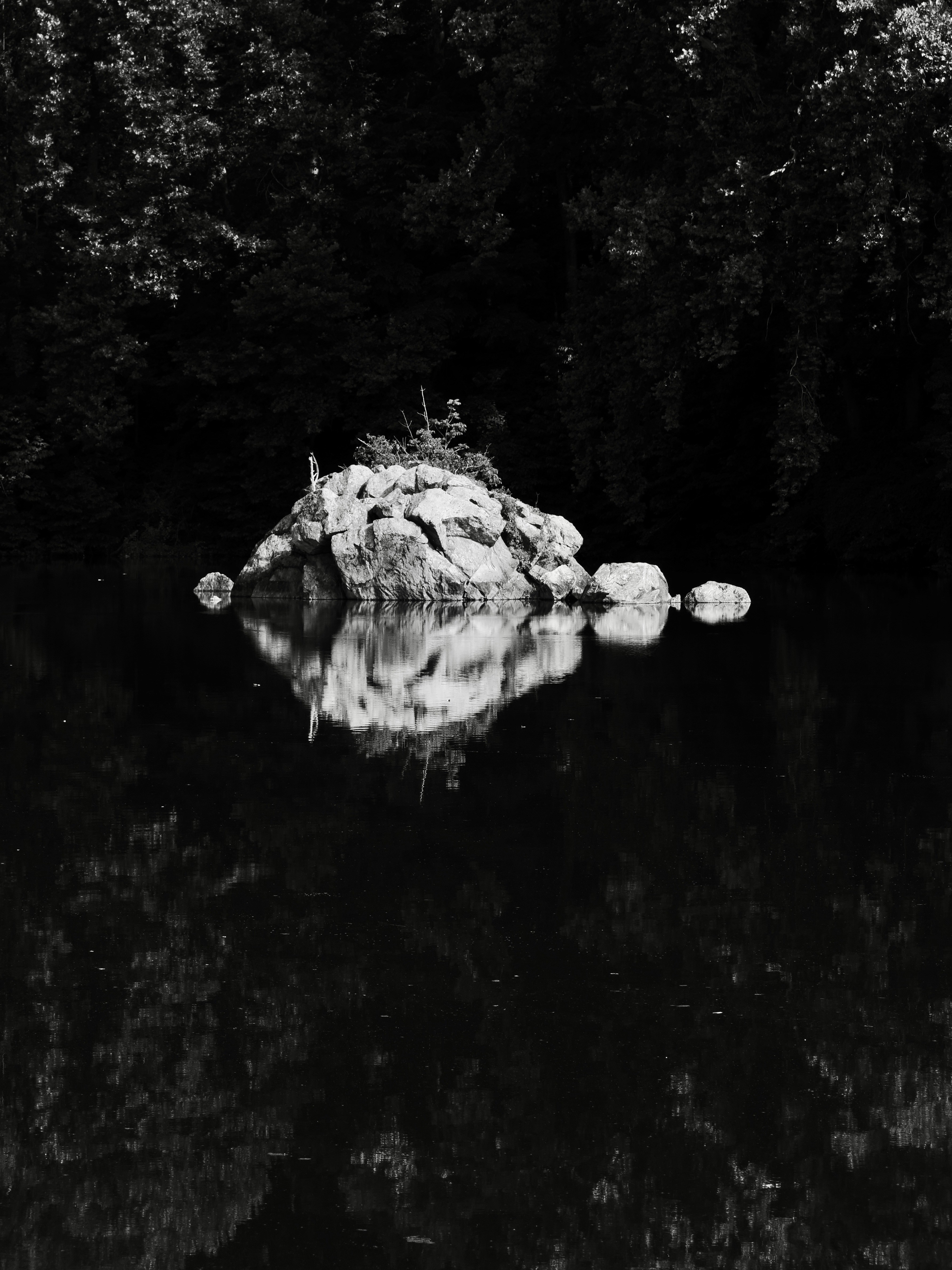 Photo by sschusterphotoart