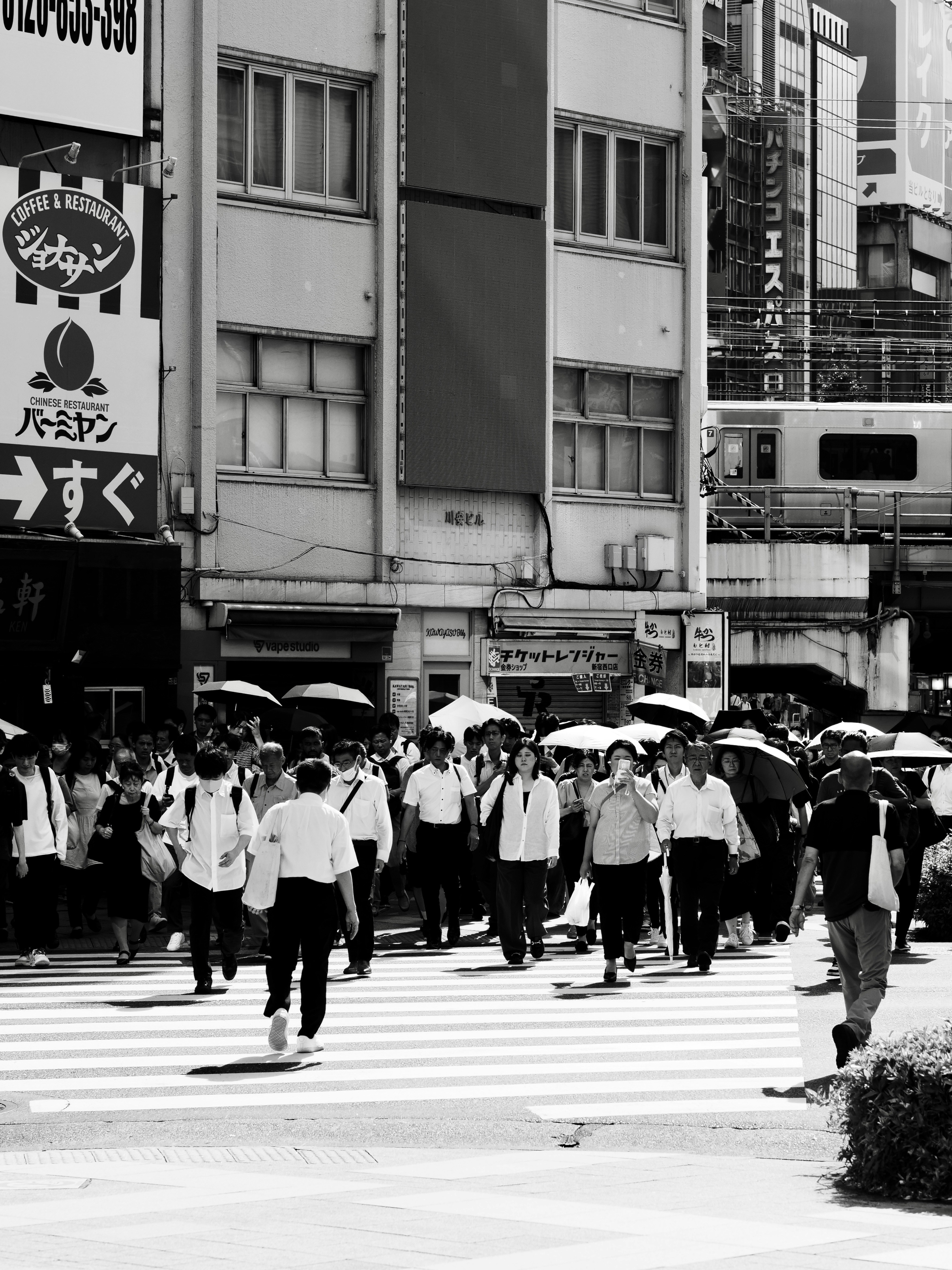 Photo by sschusterphotoart