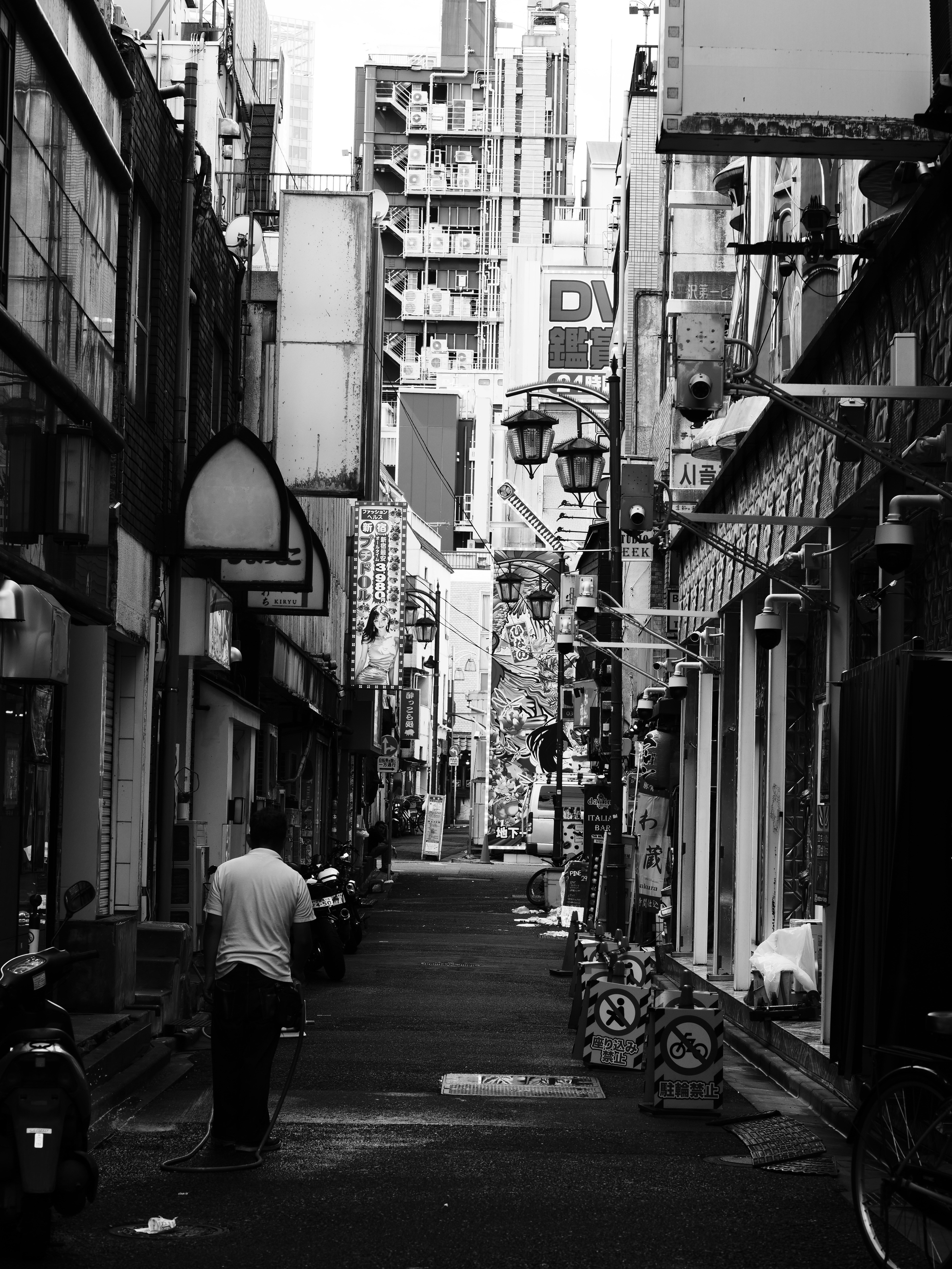 Photo by sschusterphotoart