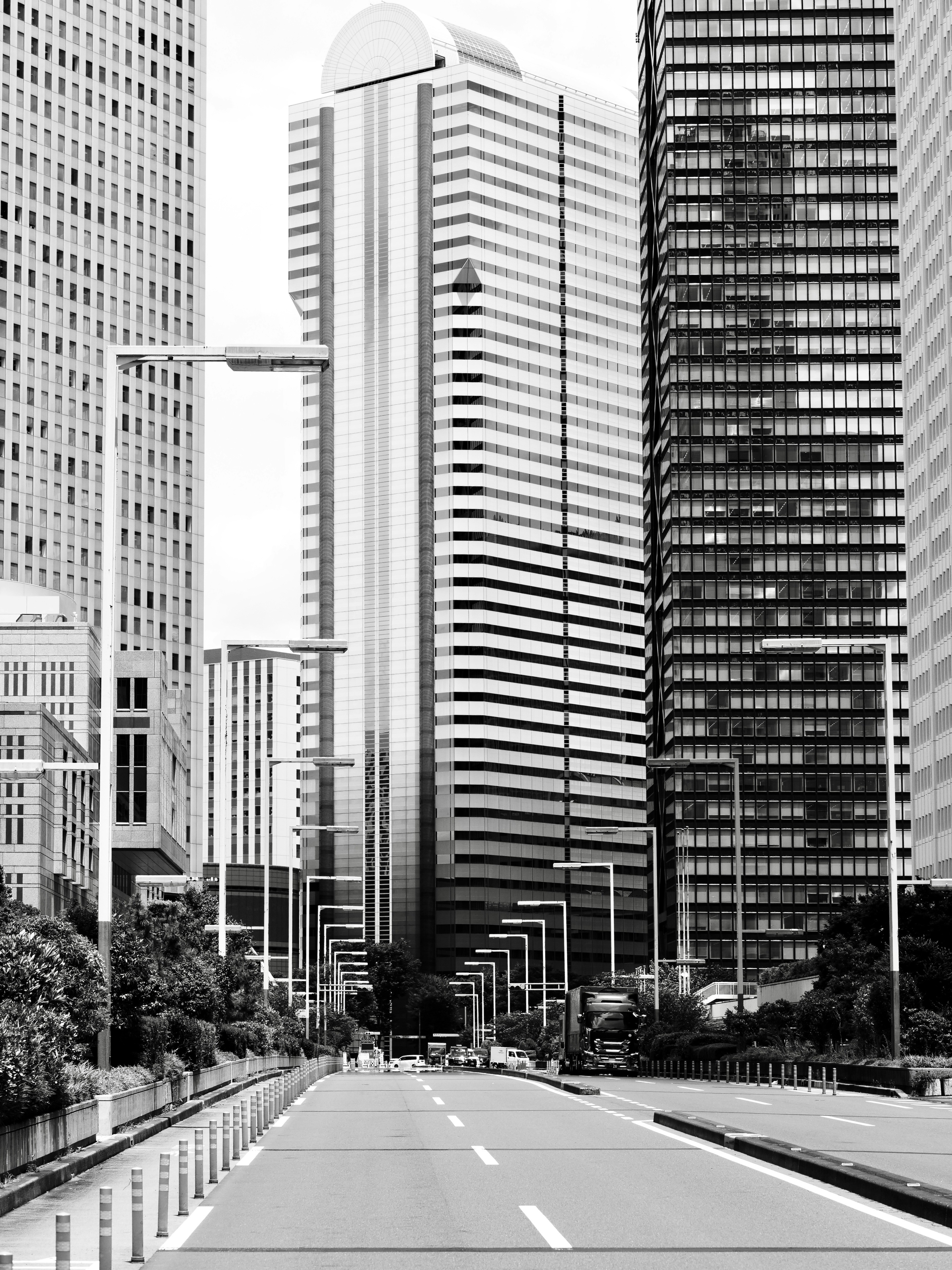 Photo by sschusterphotoart