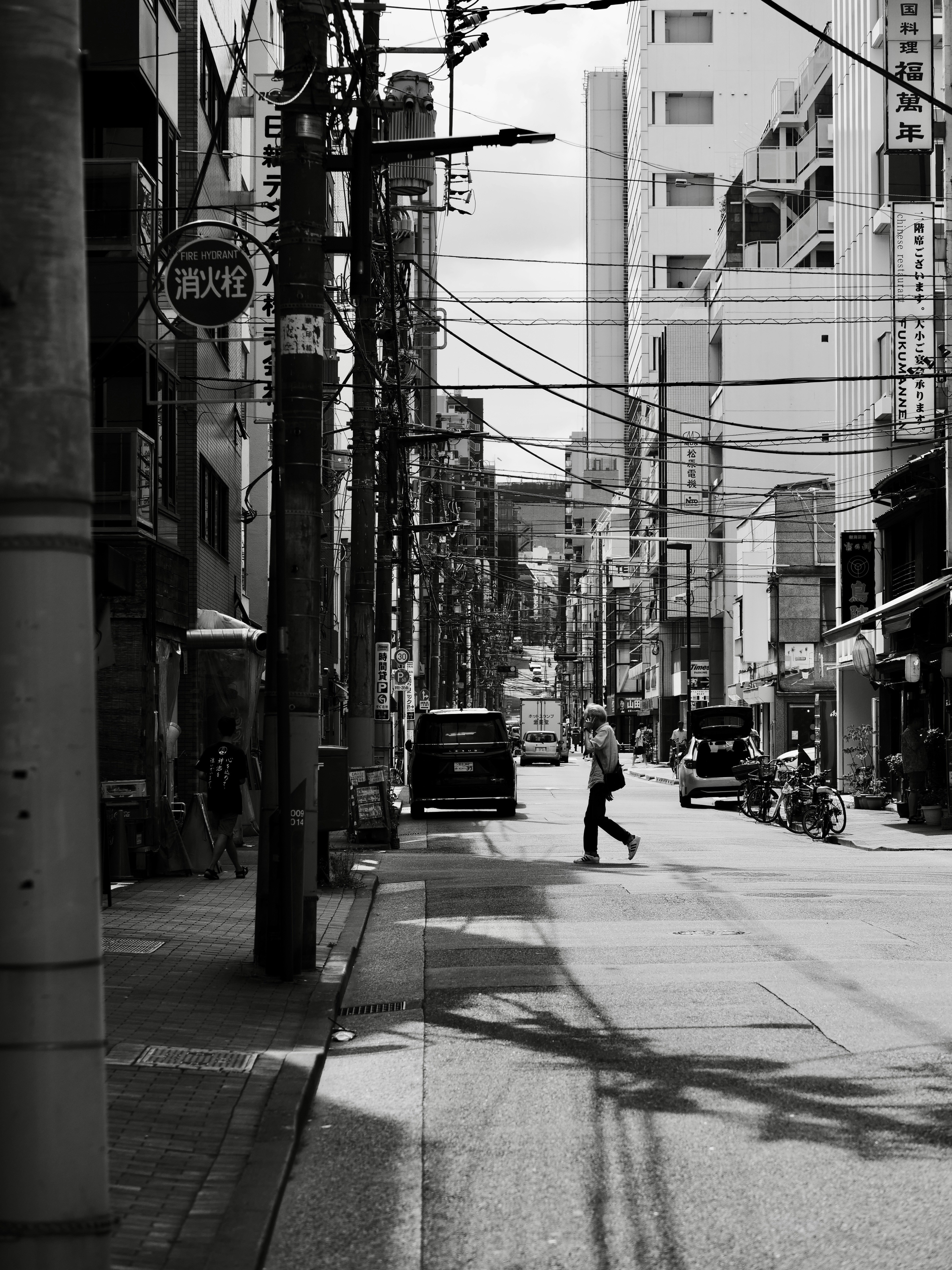 Photo by sschusterphotoart