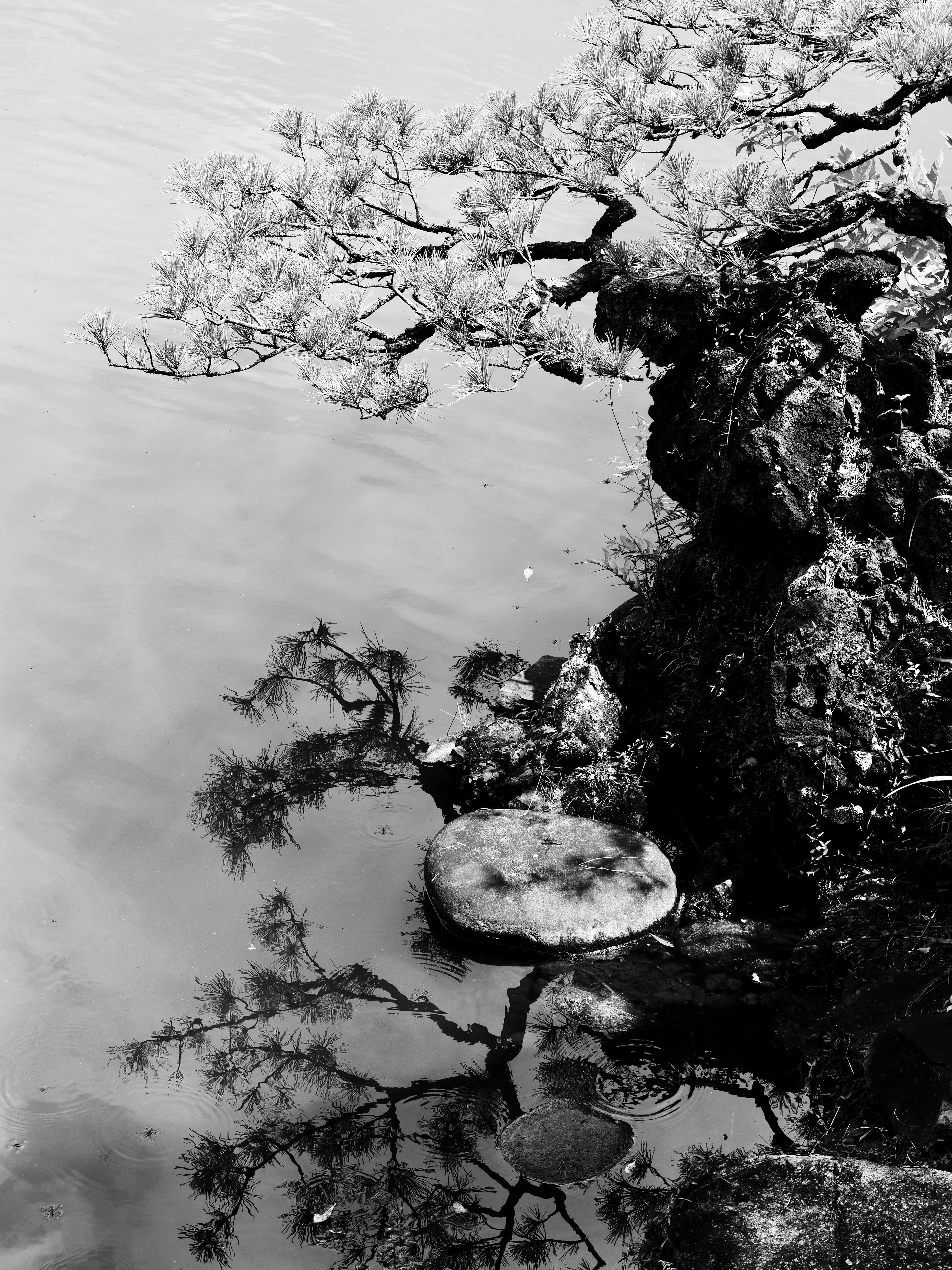 Photo by sschusterphotoart