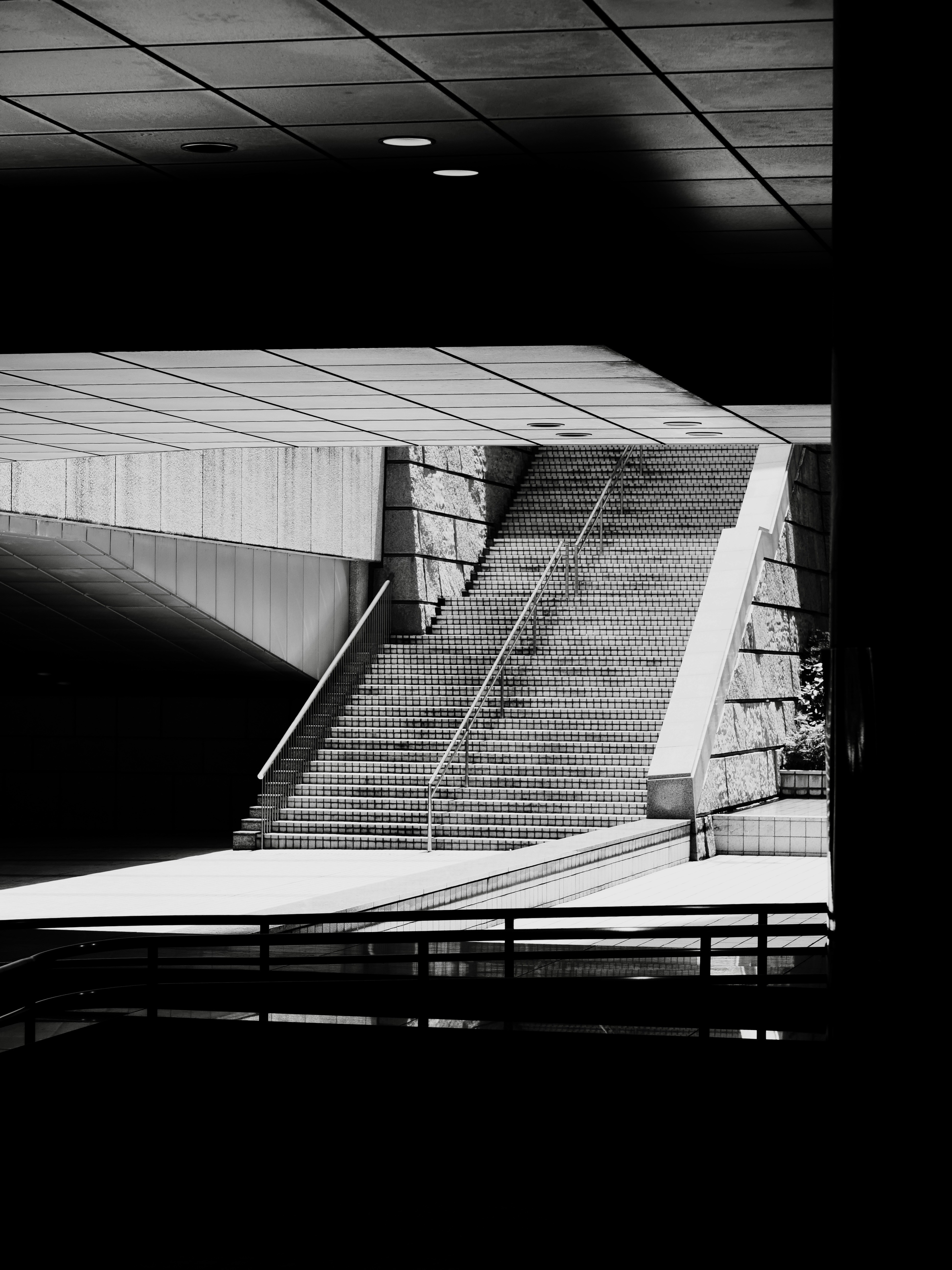 Photo by sschusterphotoart