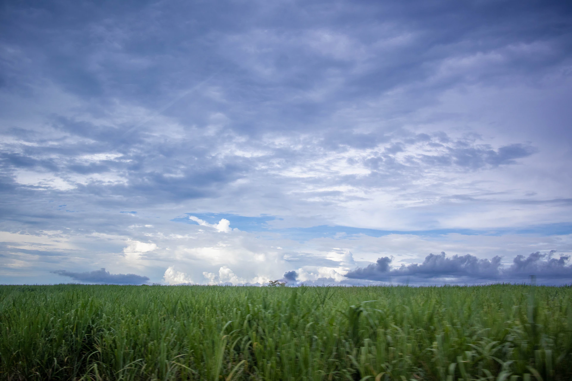 Vast green field under a dramatic cloudy sky