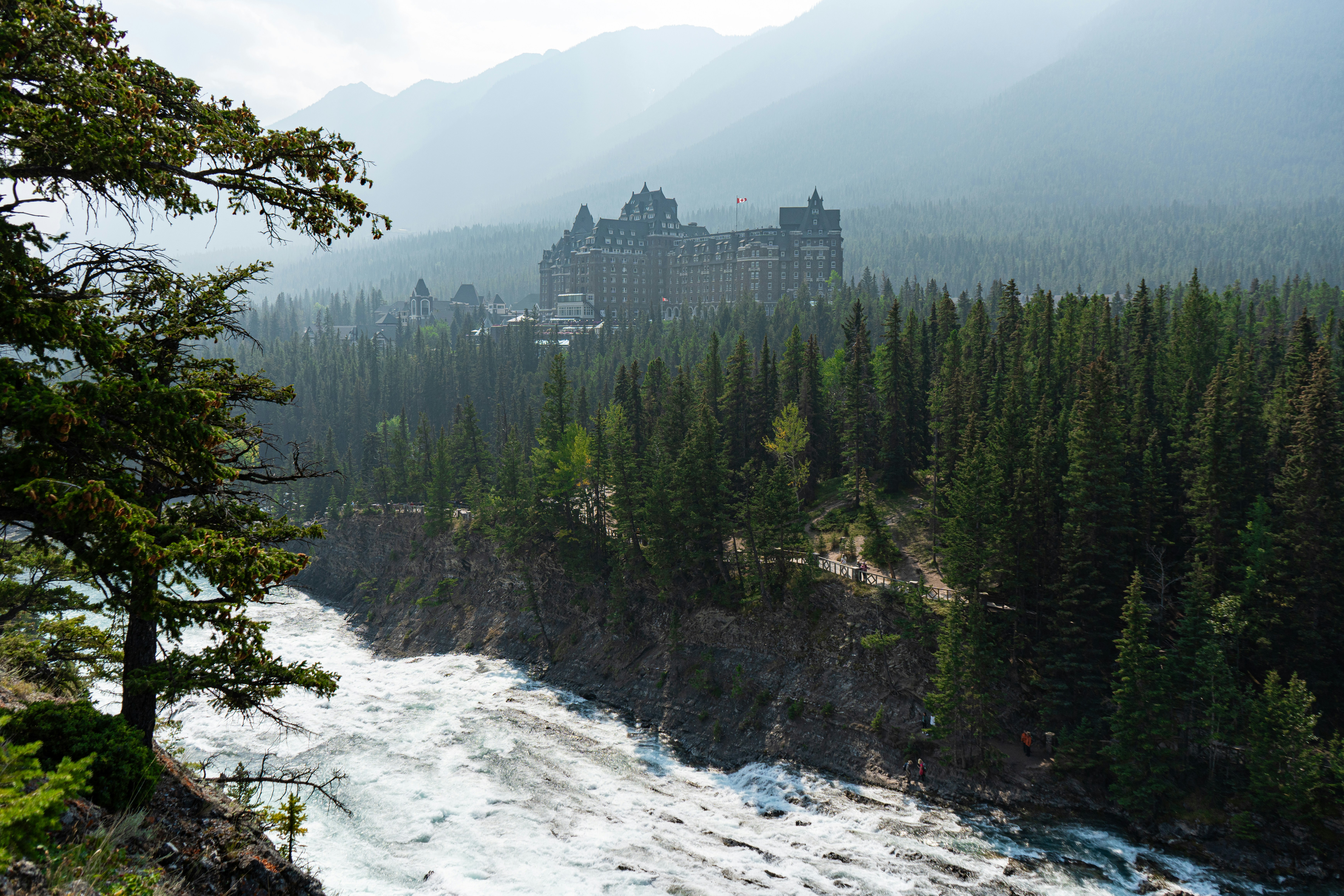 Castle-like hotel nestled in a misty evergreen forest.