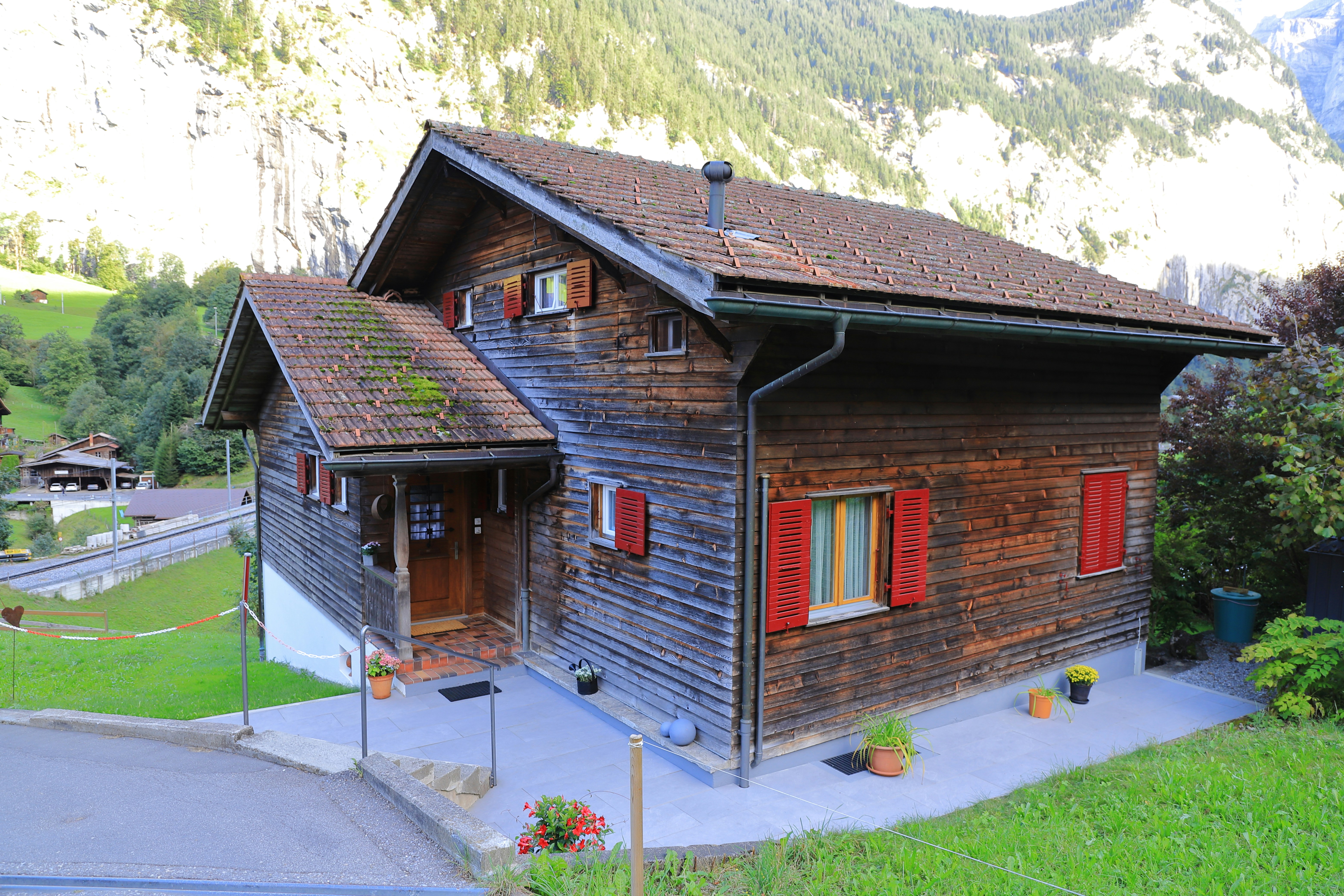 Photo by carpenterbees