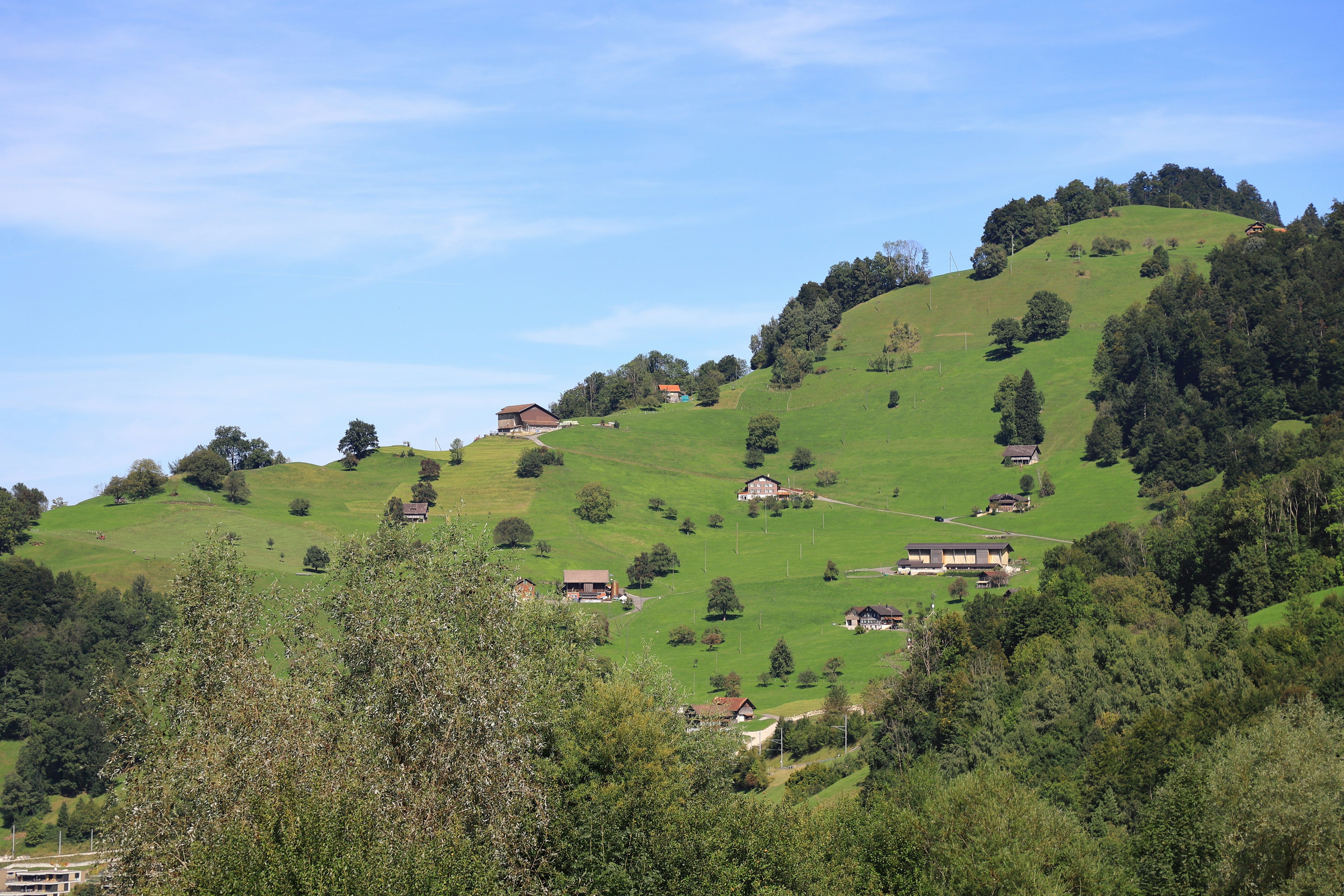 Photo by carpenterbees