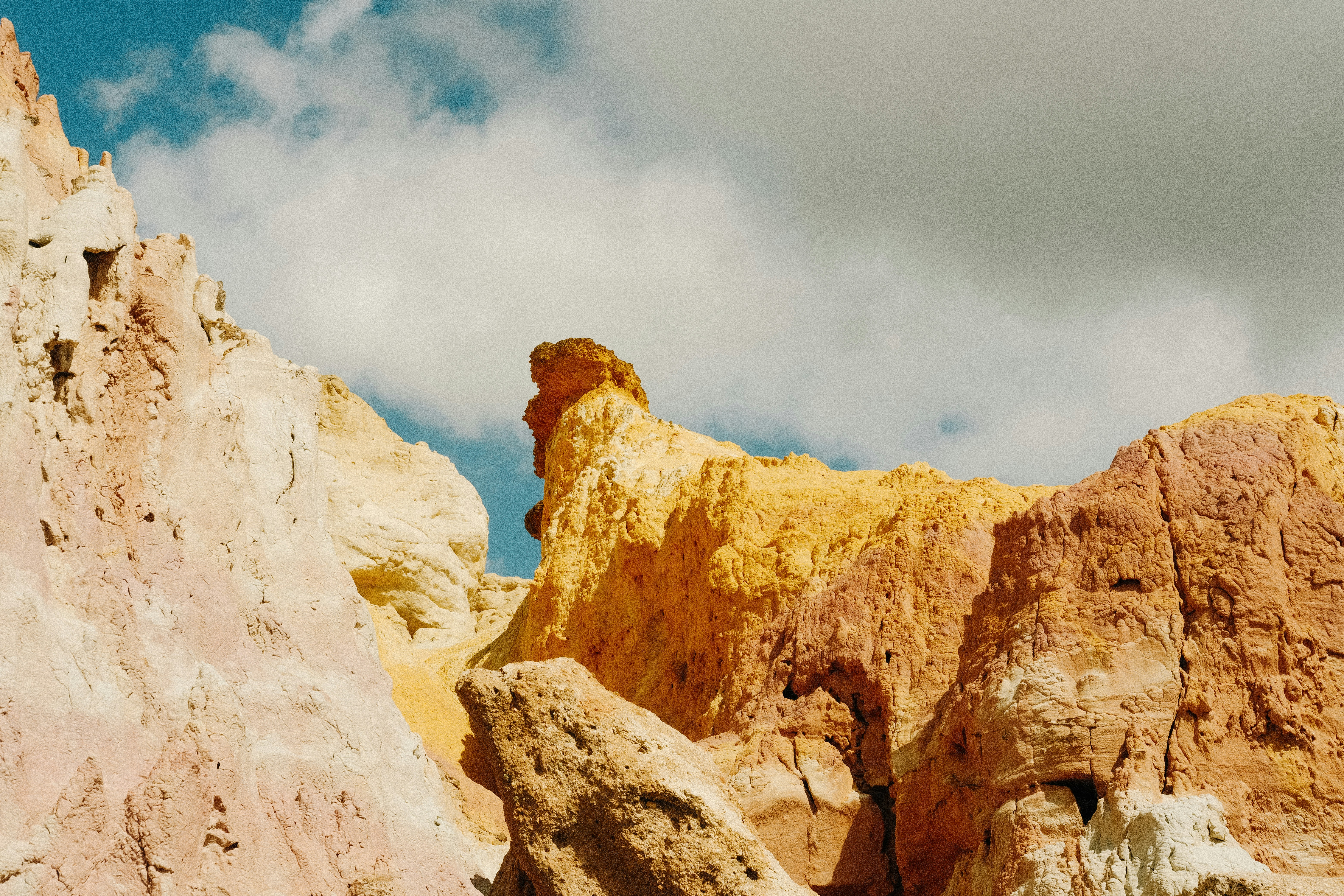 Photo by paularturotorres