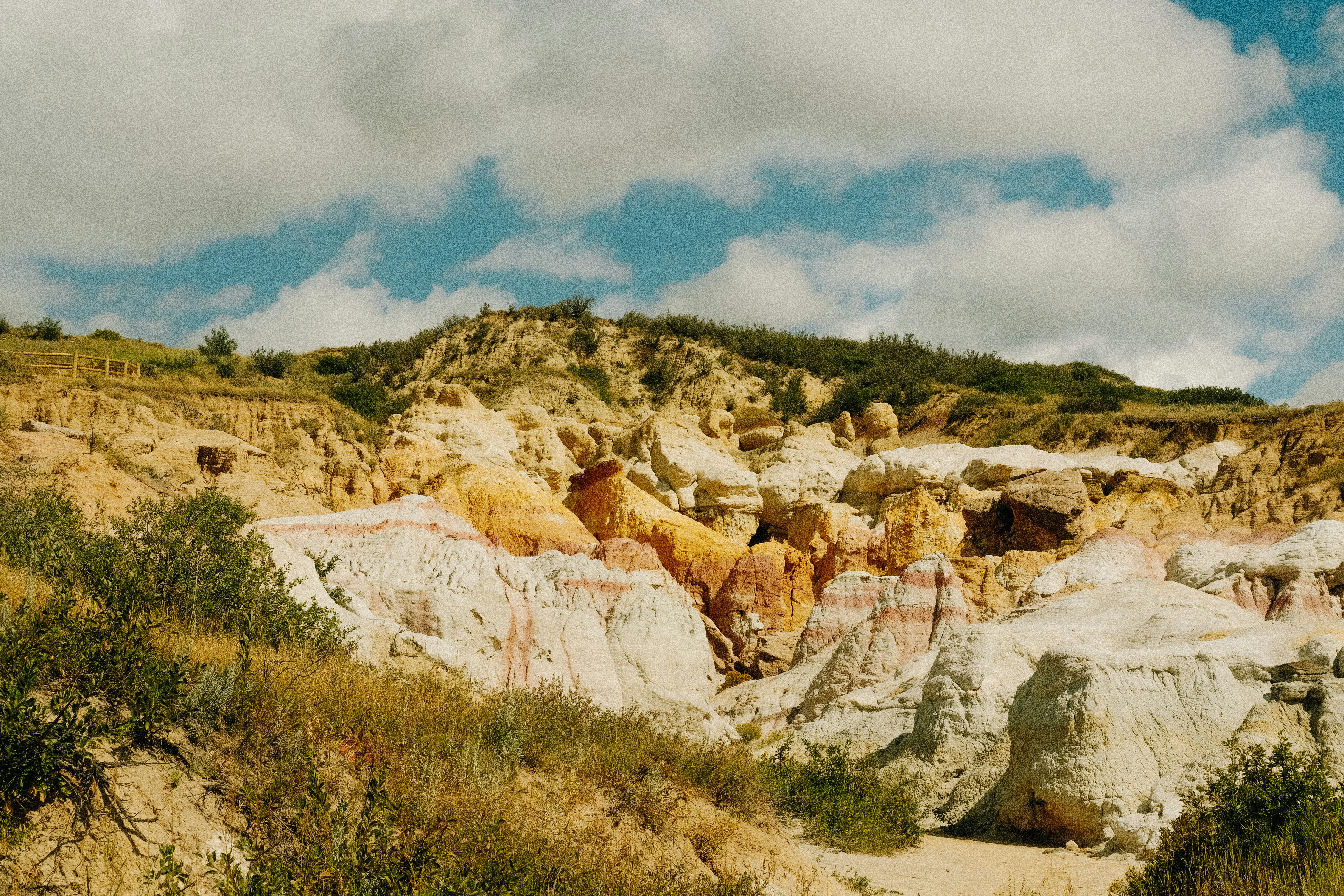 Photo by paularturotorres