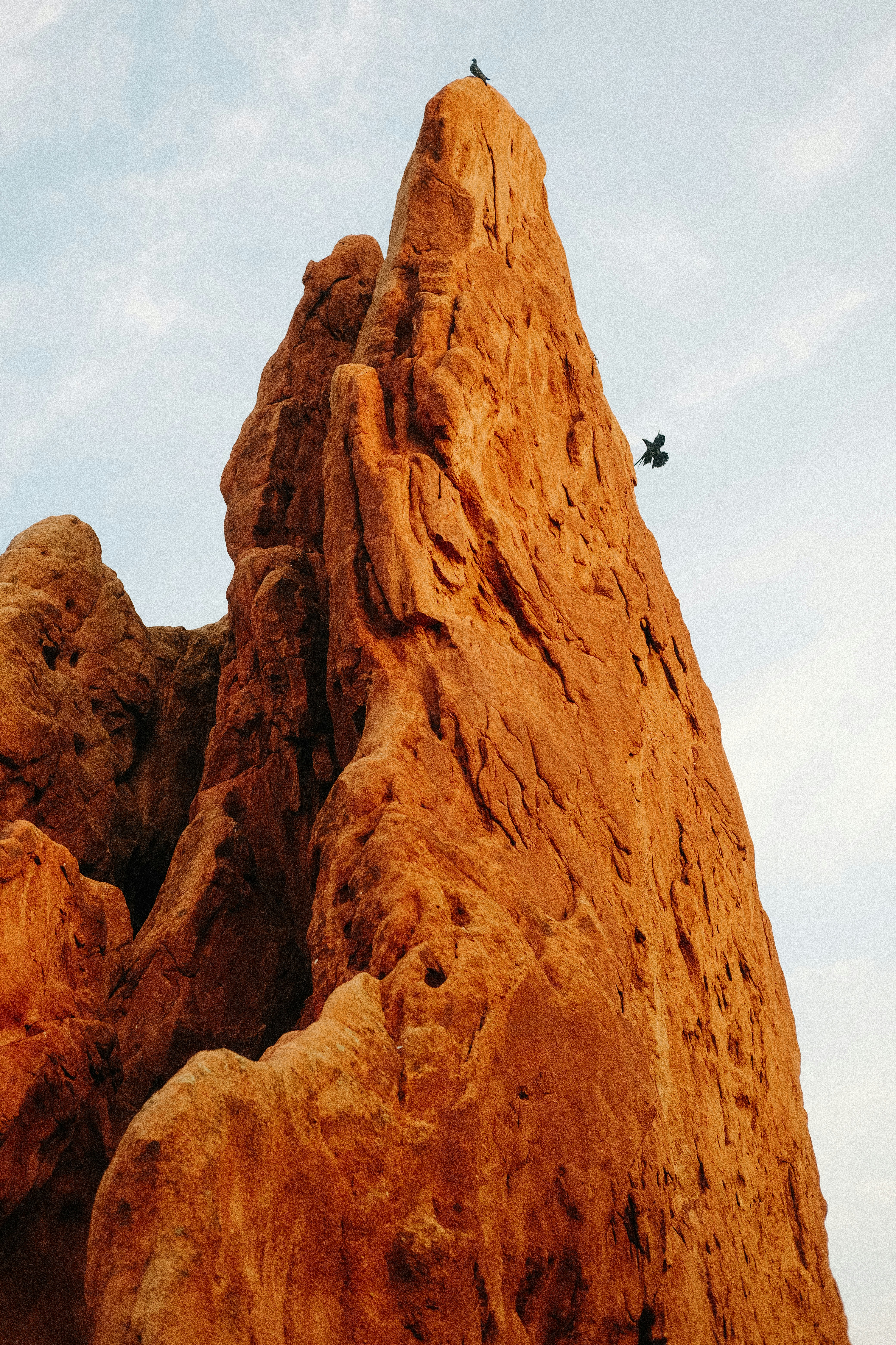 Photo by paularturotorres