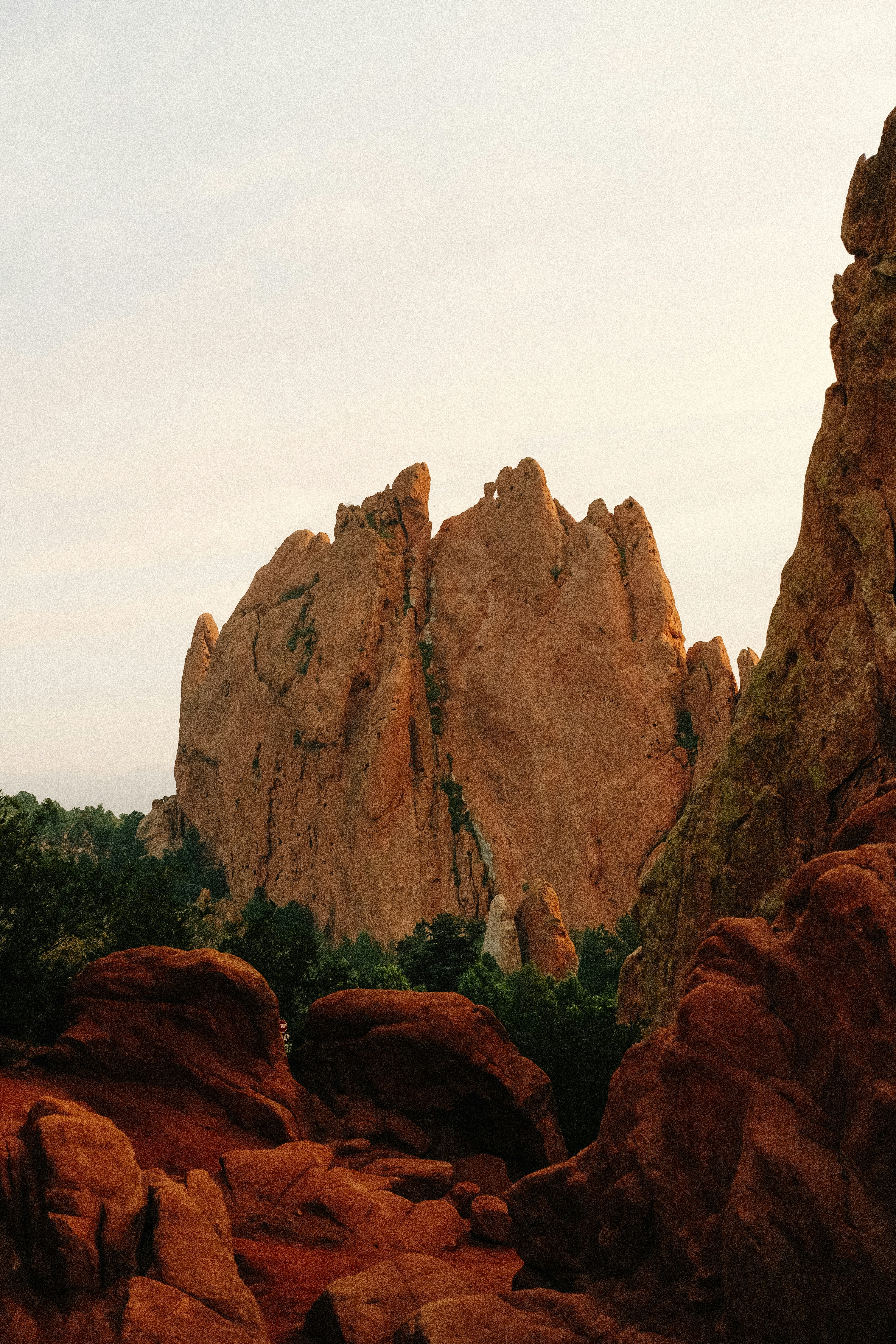 Photo by paularturotorres