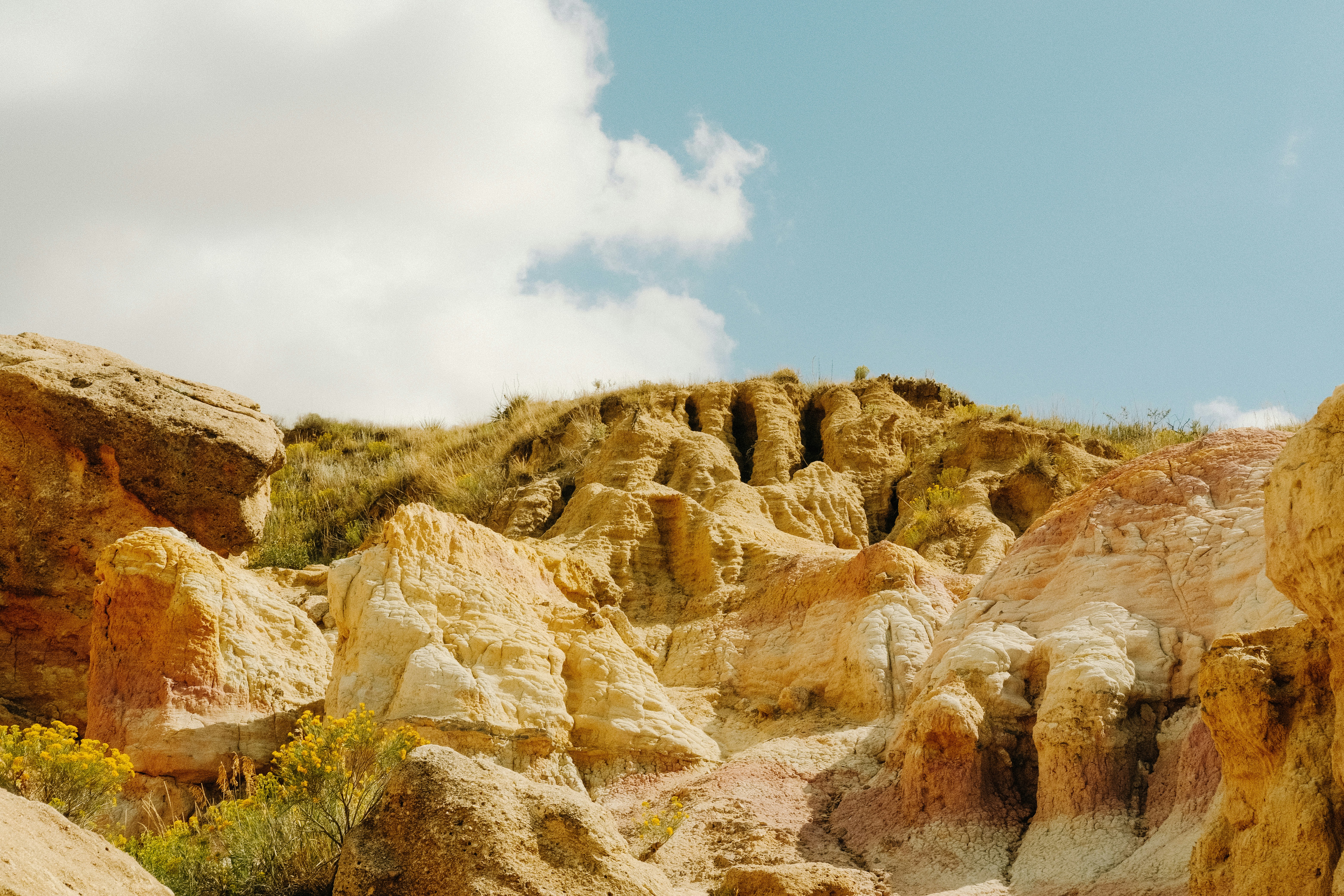 Photo by paularturotorres