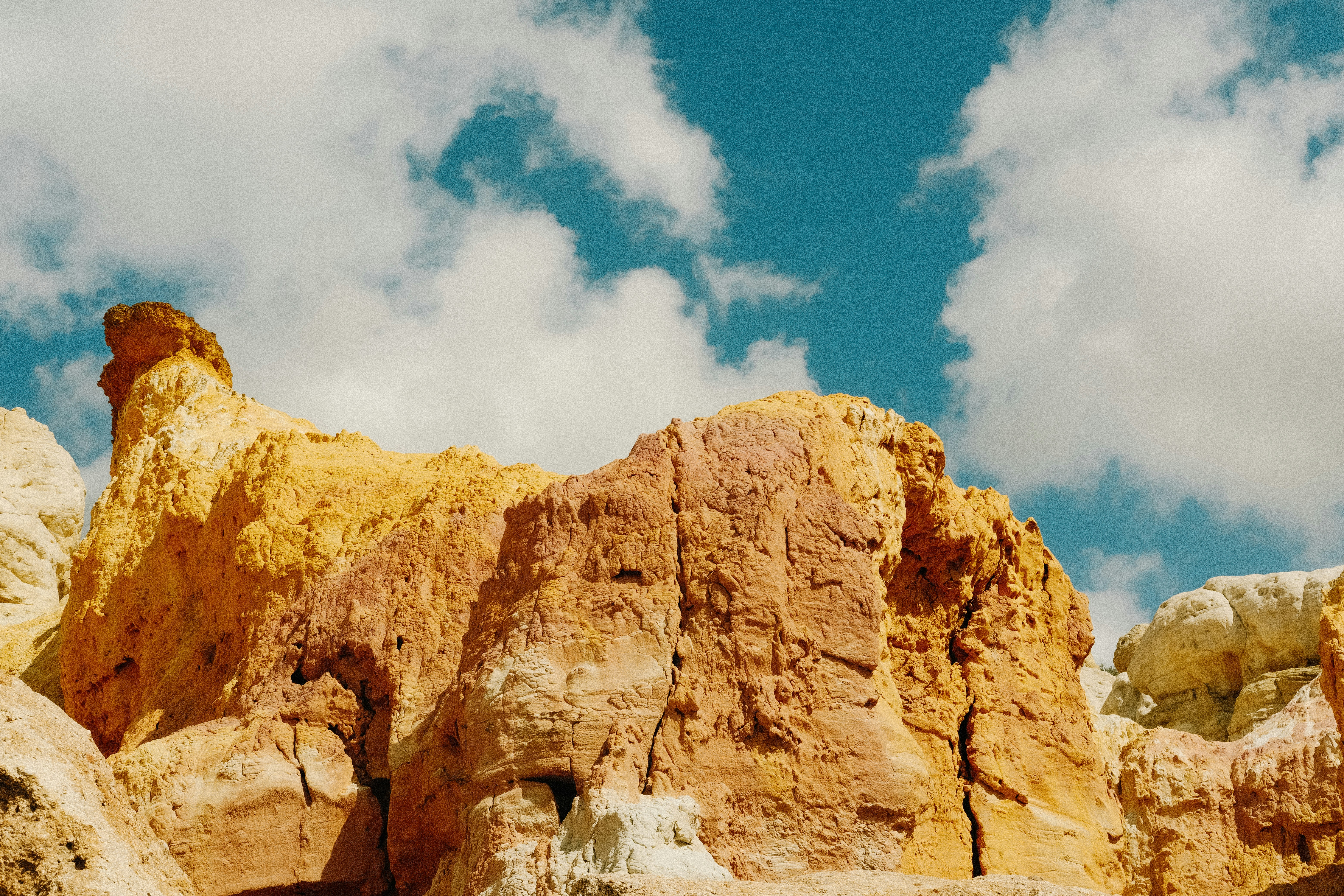 Photo by paularturotorres