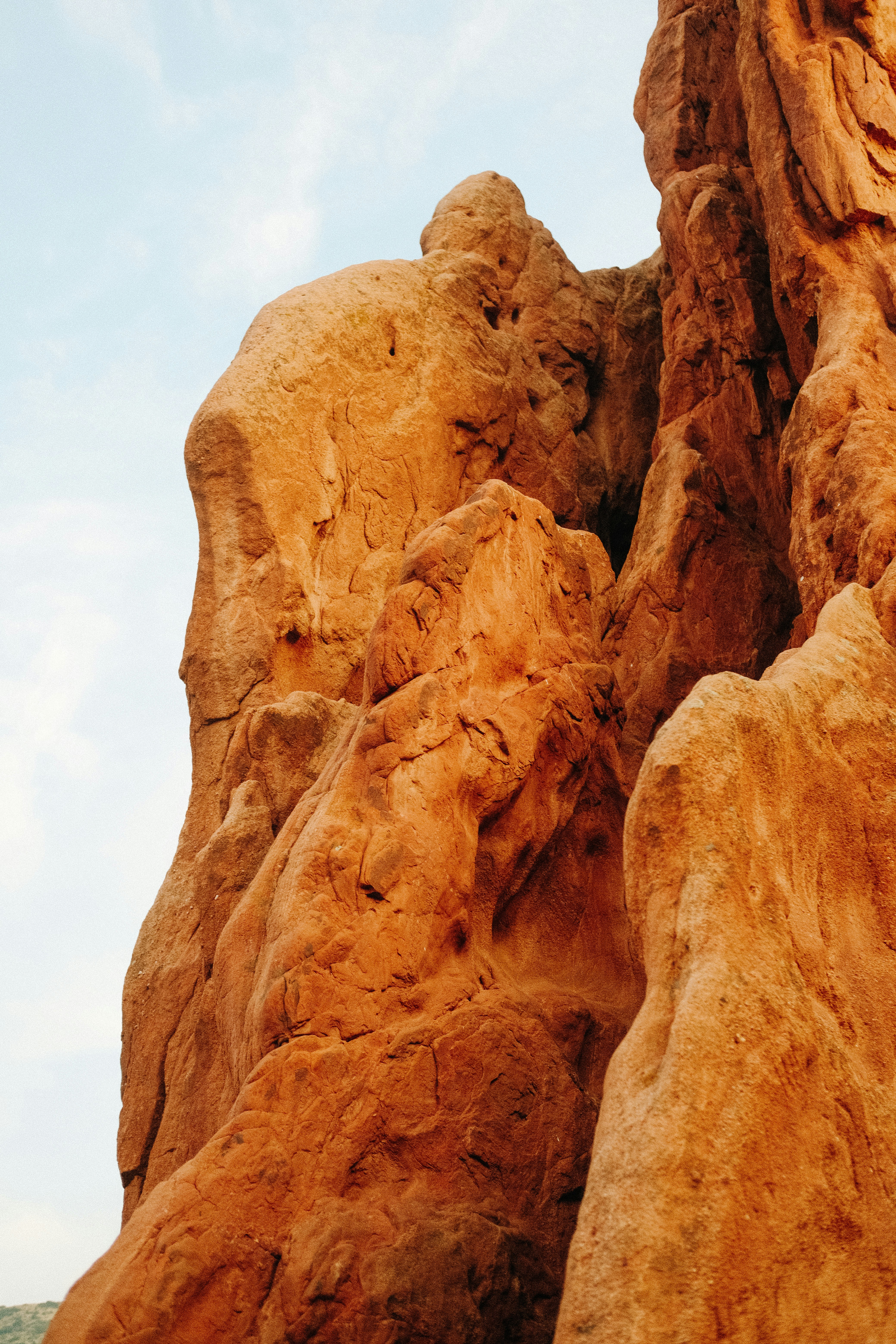 Photo by paularturotorres