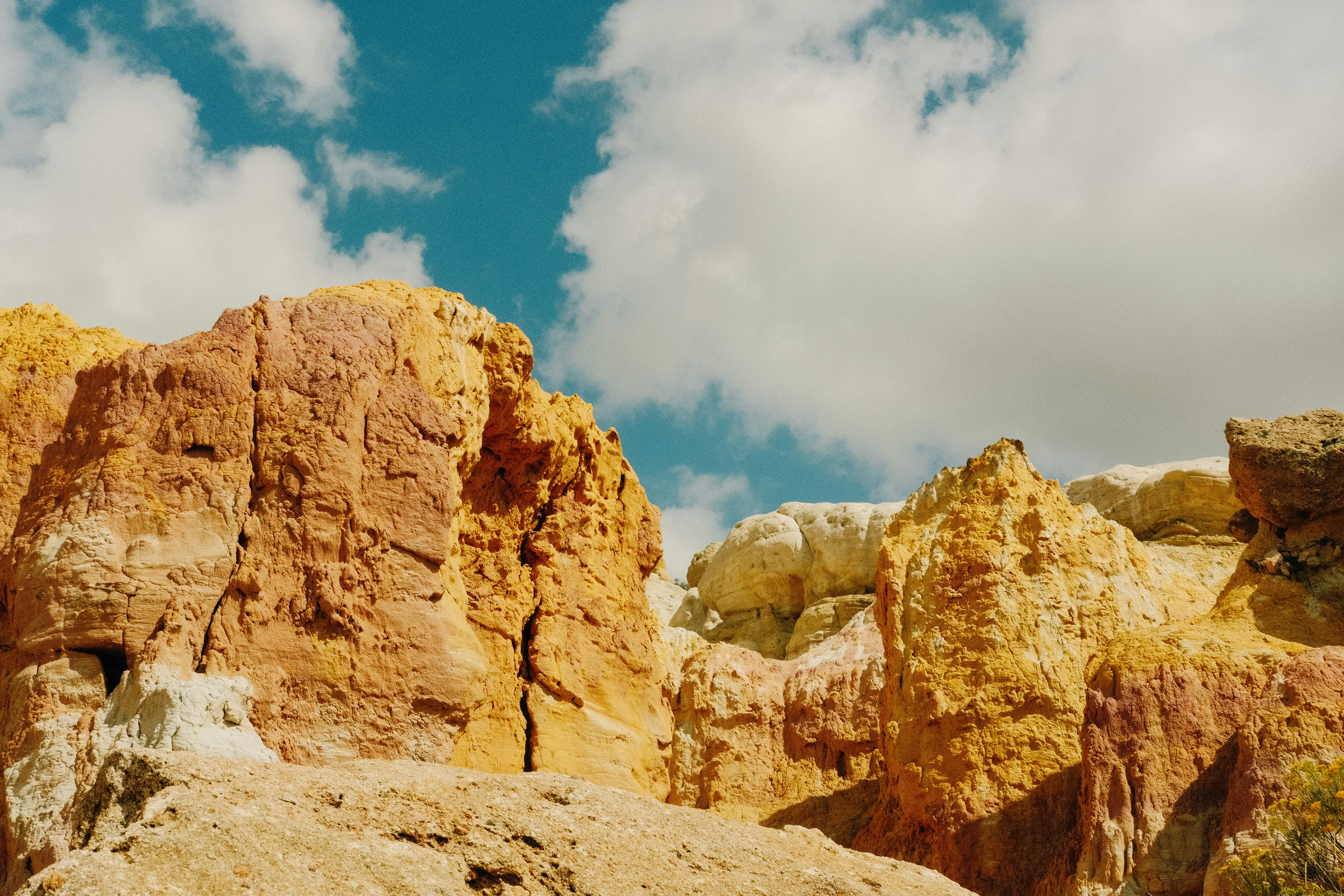 Photo by paularturotorres