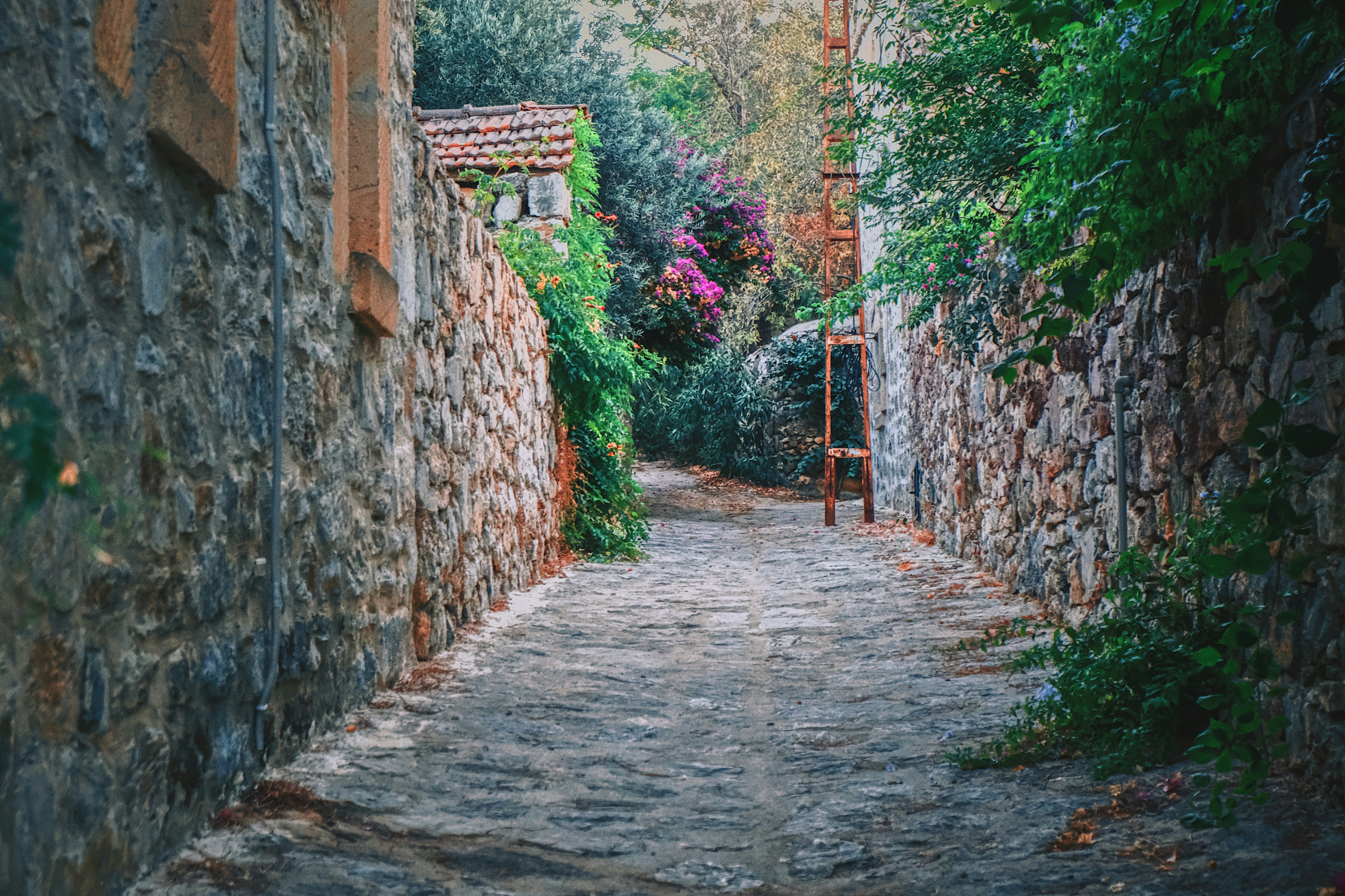 Photo by mervegulhan