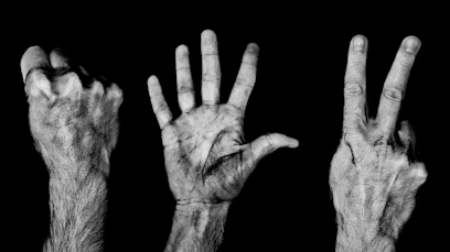 Three hands showing rock, paper, and scissors gestures.
