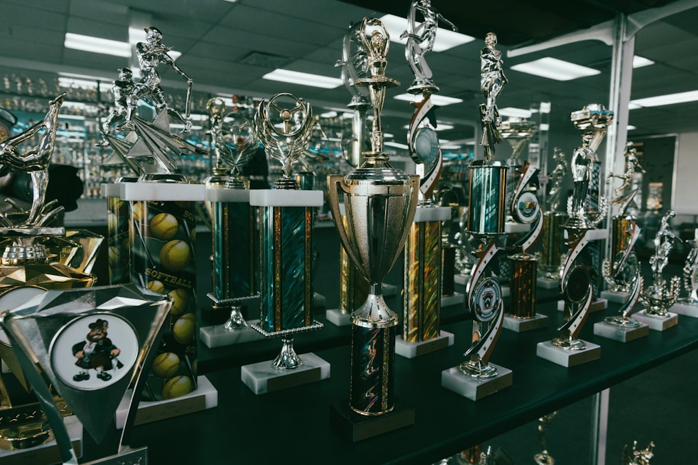 Collection of sports trophies and awards displayed on shelves