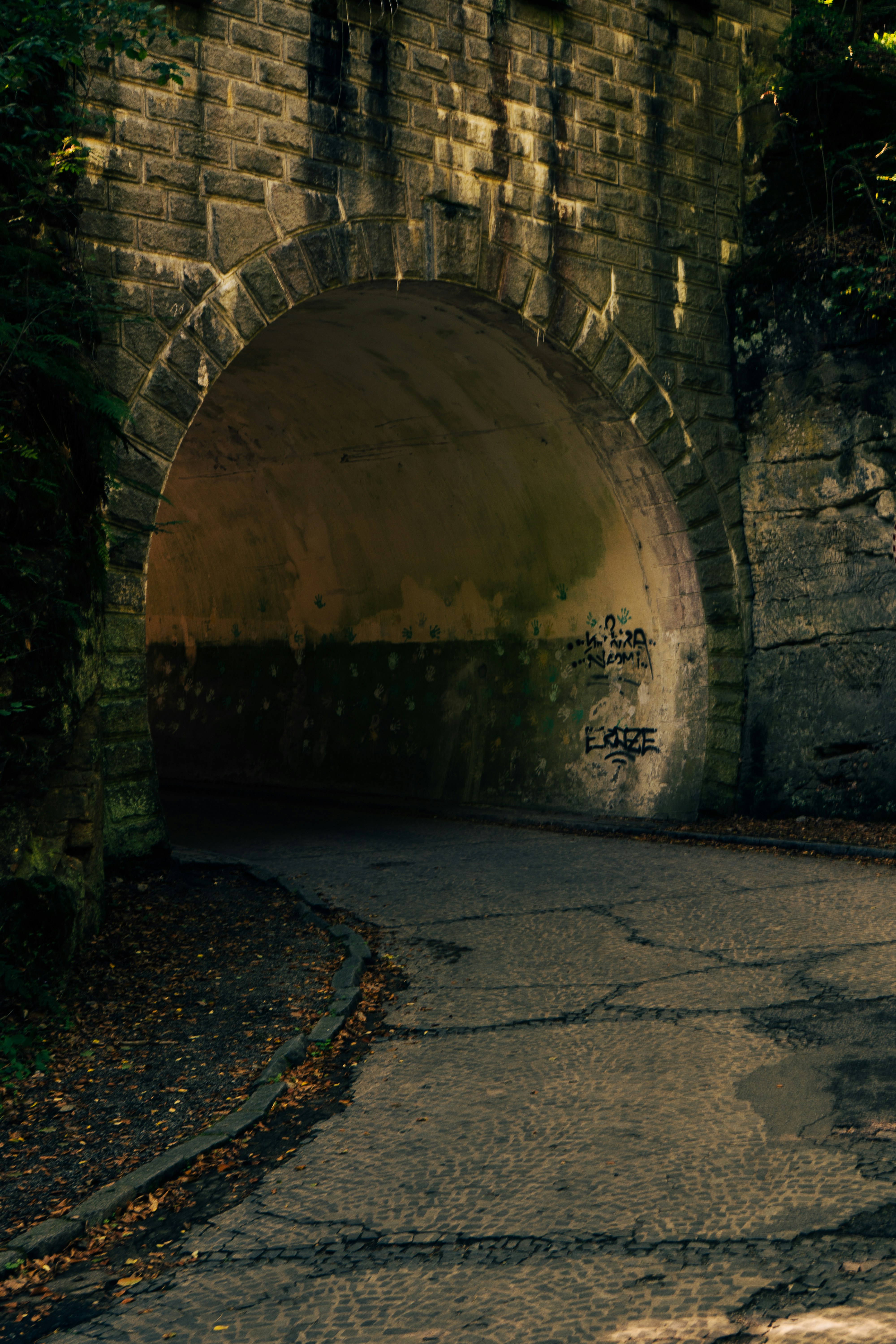 Photo by danielsphotograpic