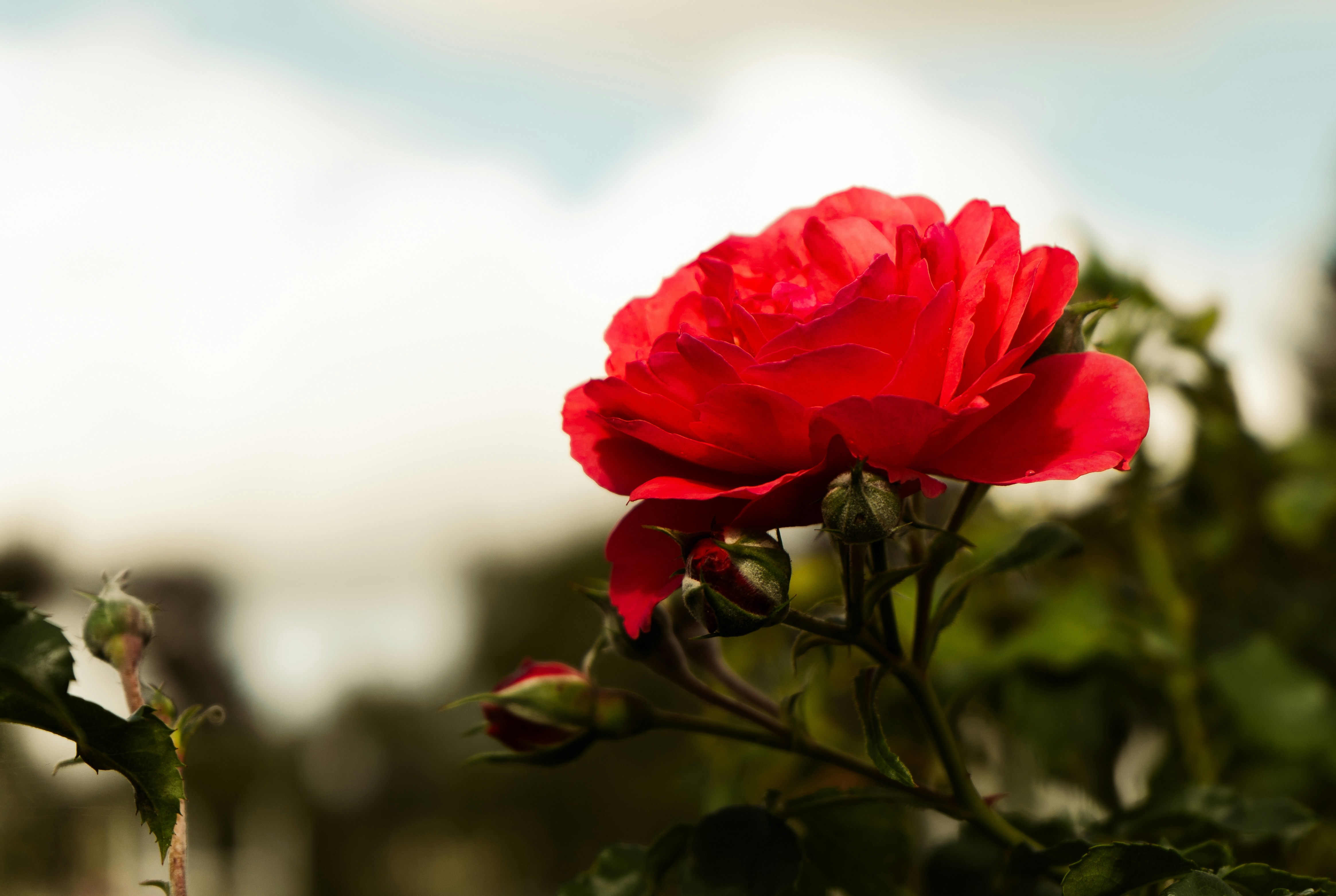 Photo by danielsphotograpic