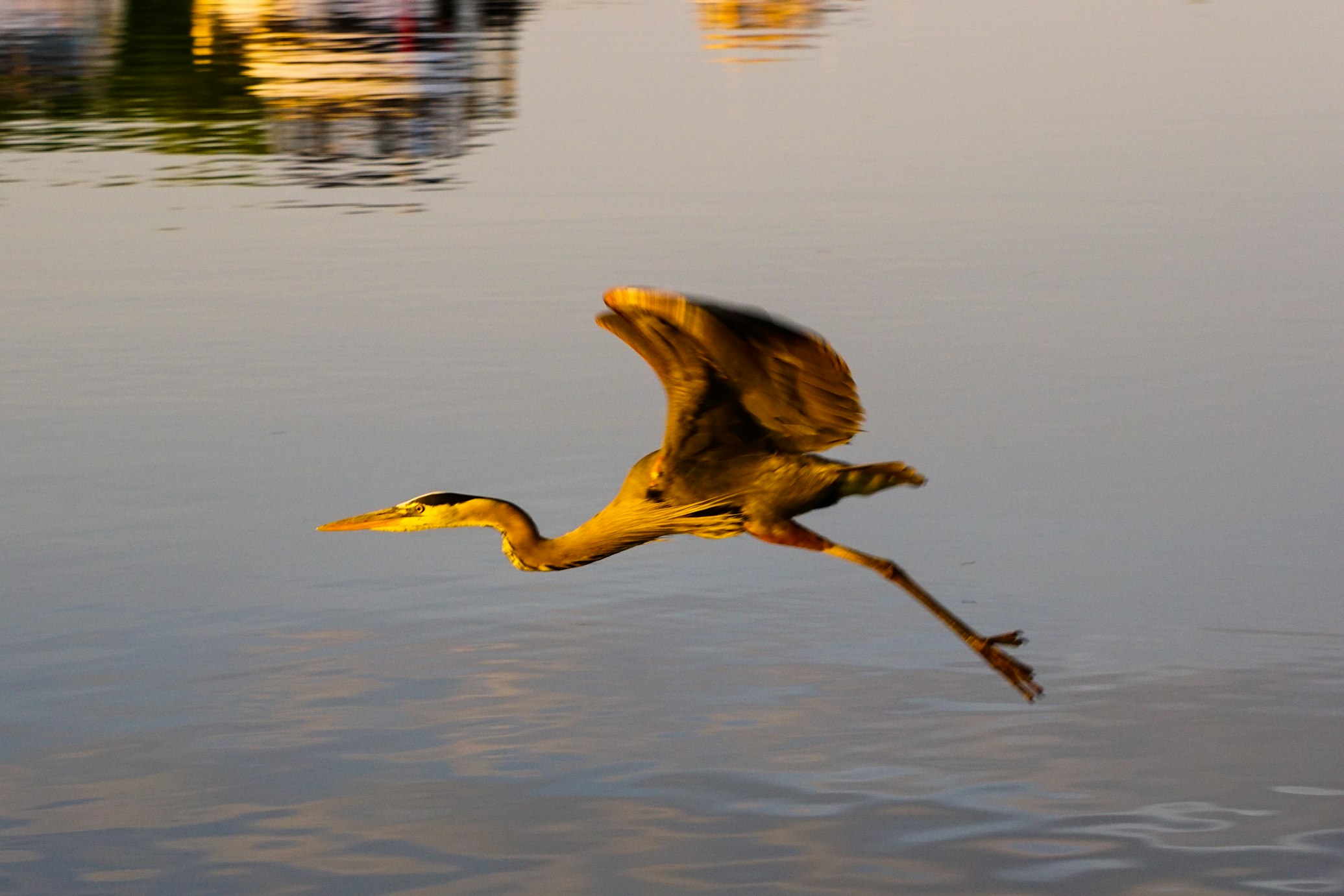 BlogShare——如何做好一个博客