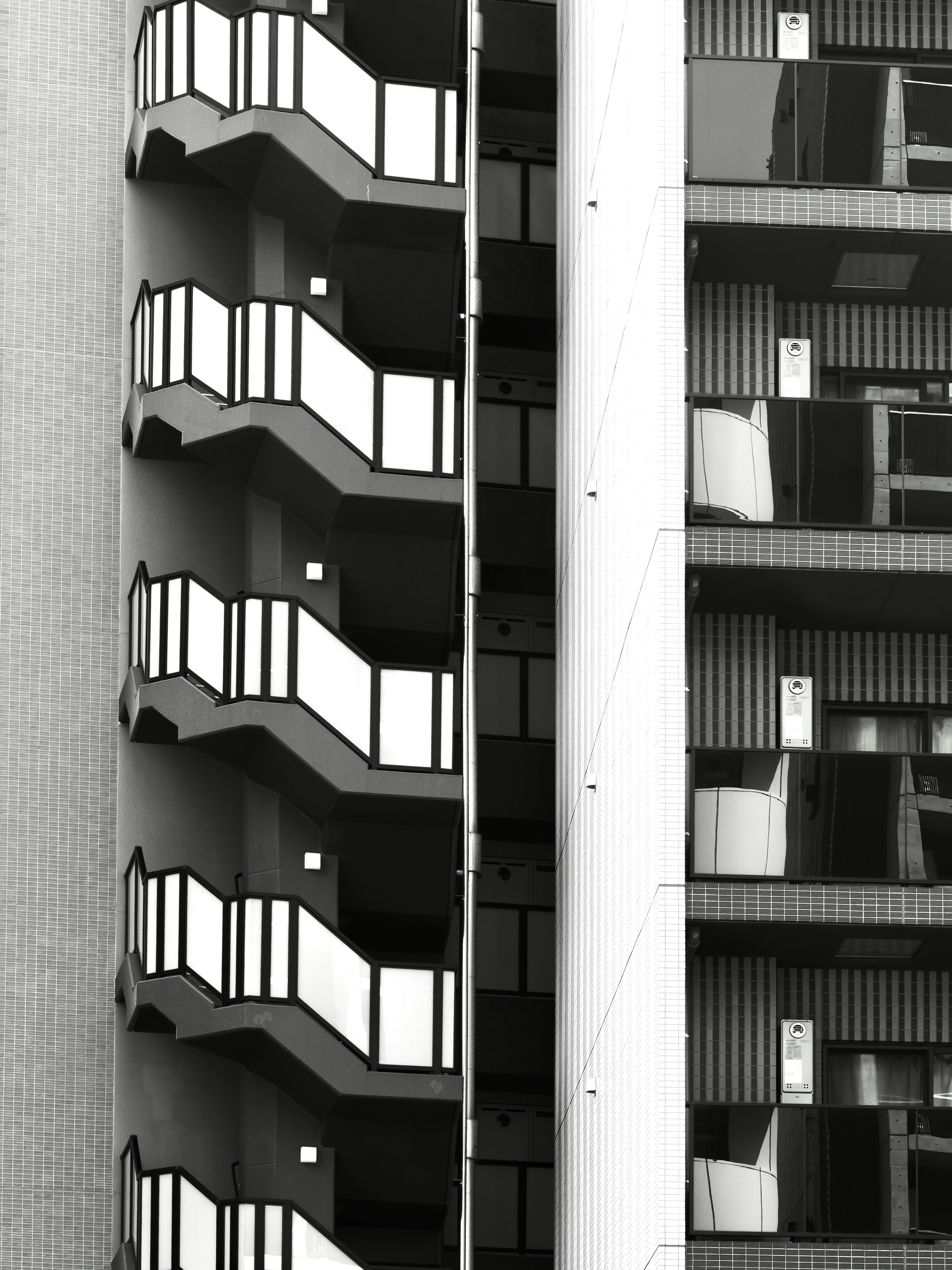 Photo by sschusterphotoart