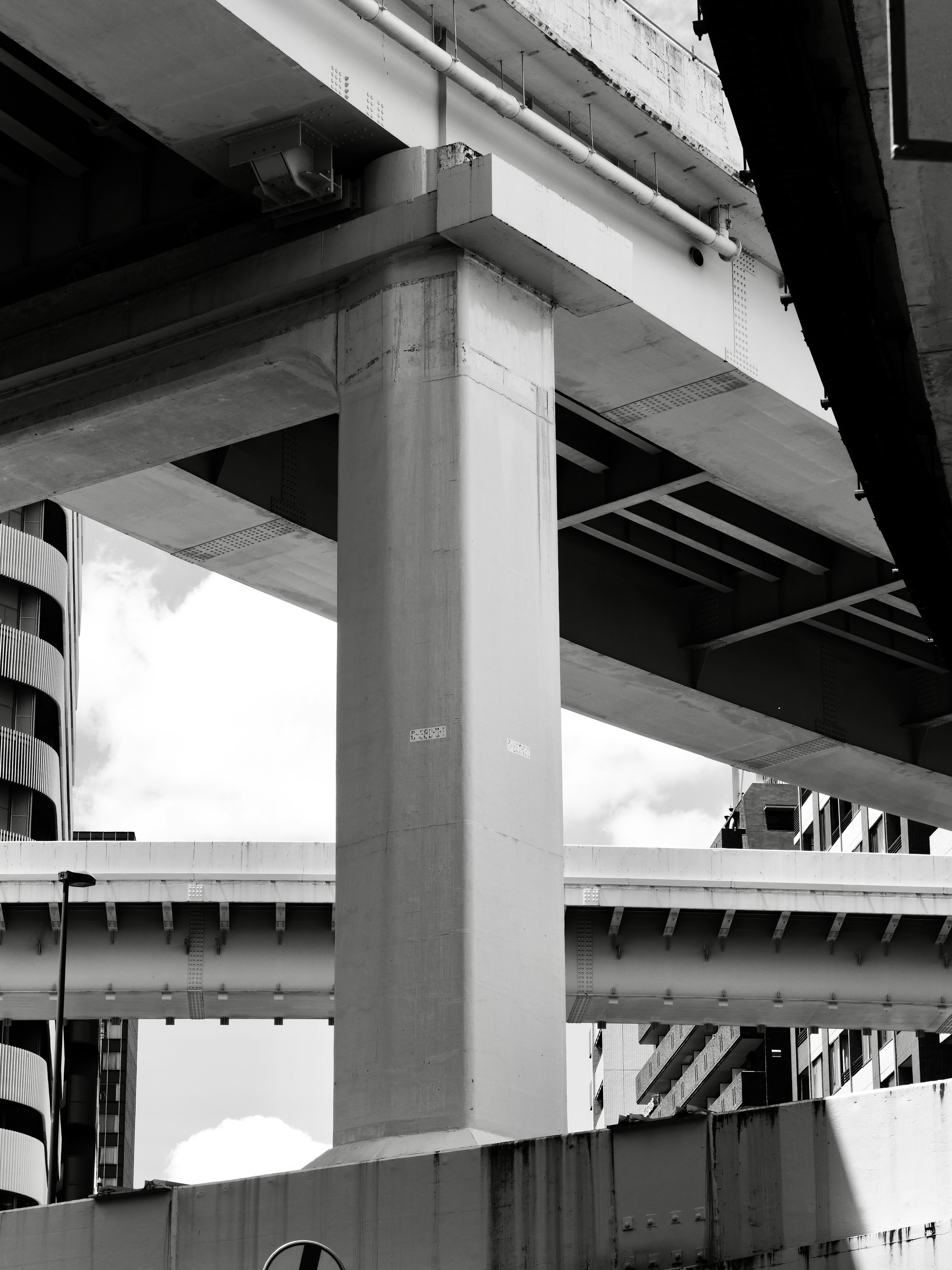 Photo by sschusterphotoart