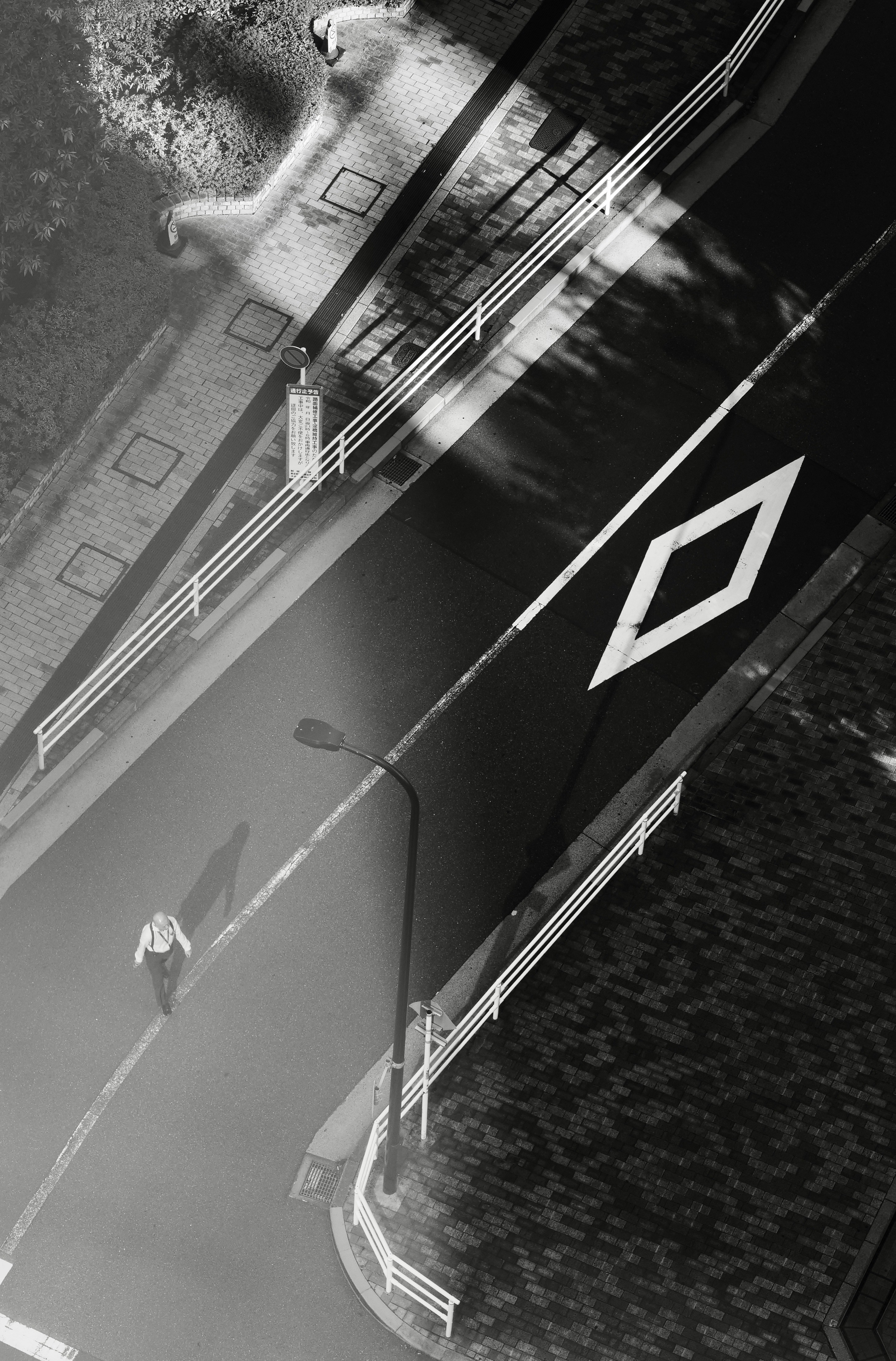 Photo by sschusterphotoart